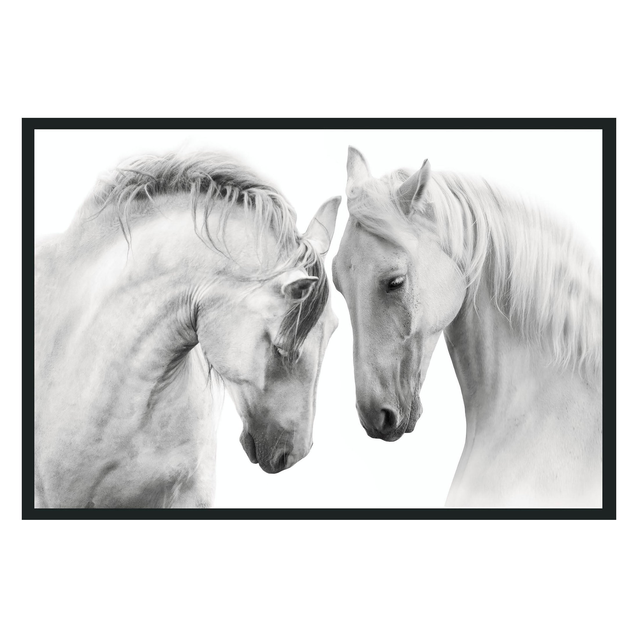White Horses Photography
