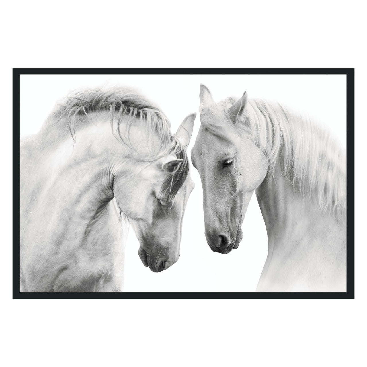 White Horses  Photography
