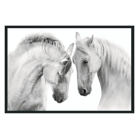 White Horses  Photography