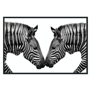 Zebras Photography 48x72