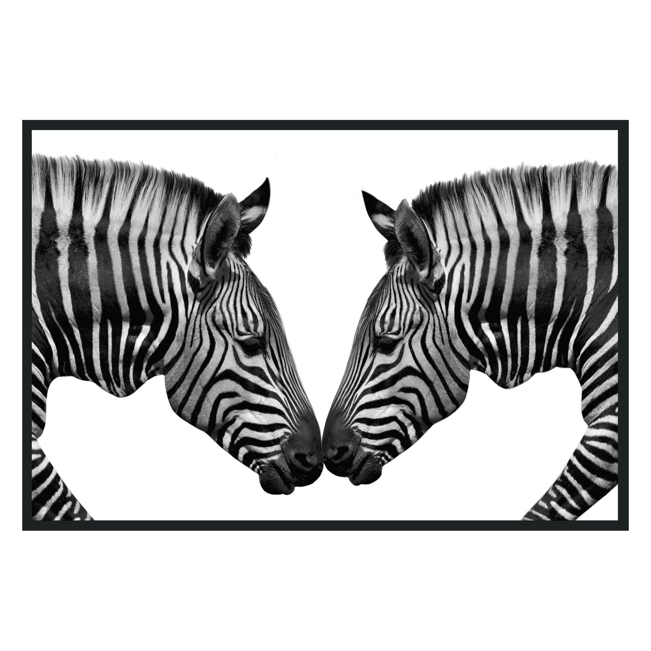 Zebras Photography 48x72