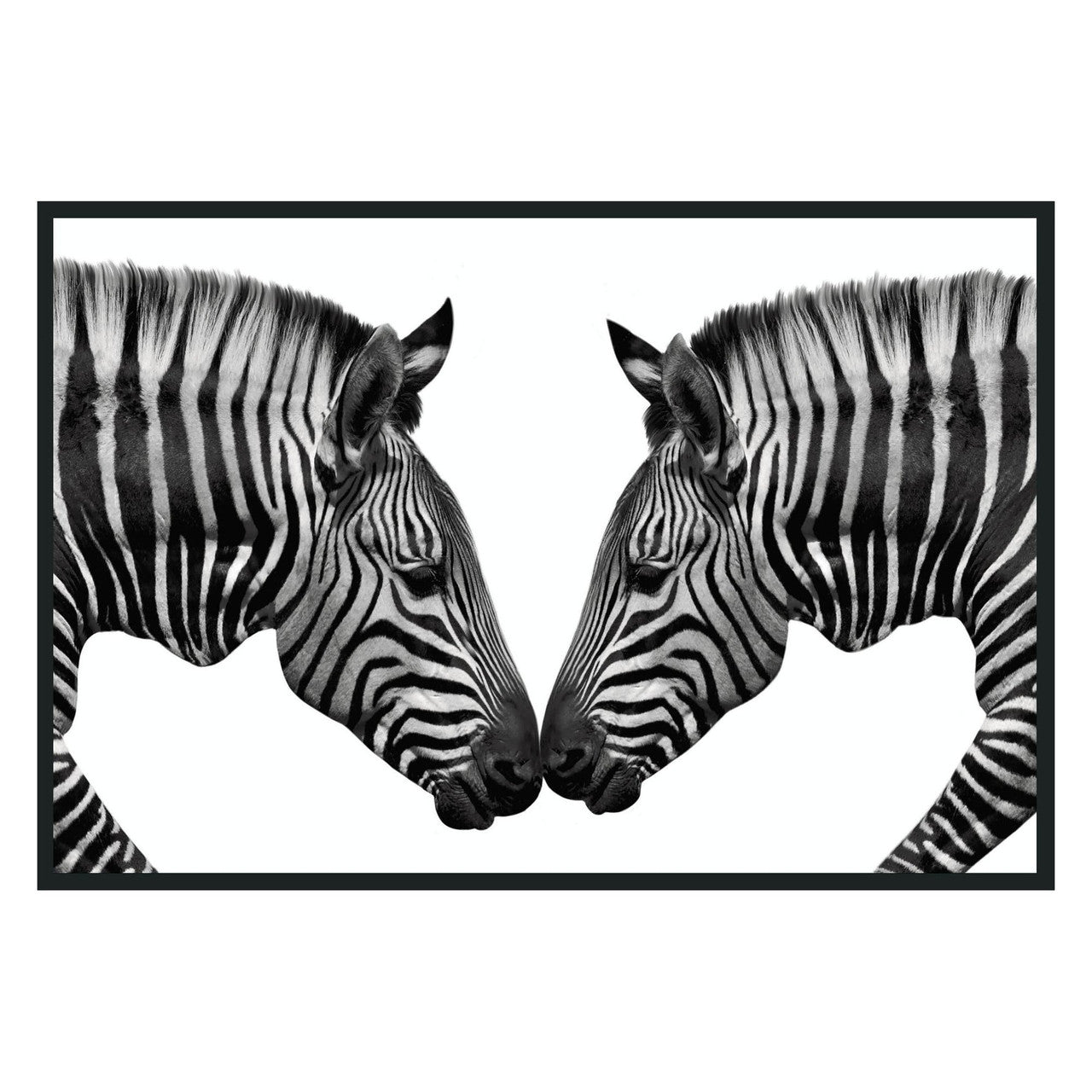 Zebras Photography 48x72