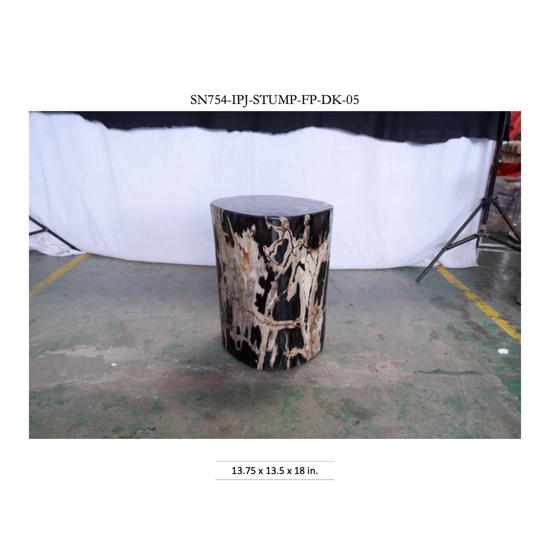 Polished Petrified Wood Stump - Natural Dark by Urbia