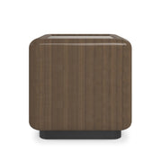 Gelee Monolith Square Accent Table End Table 22" by Caracole