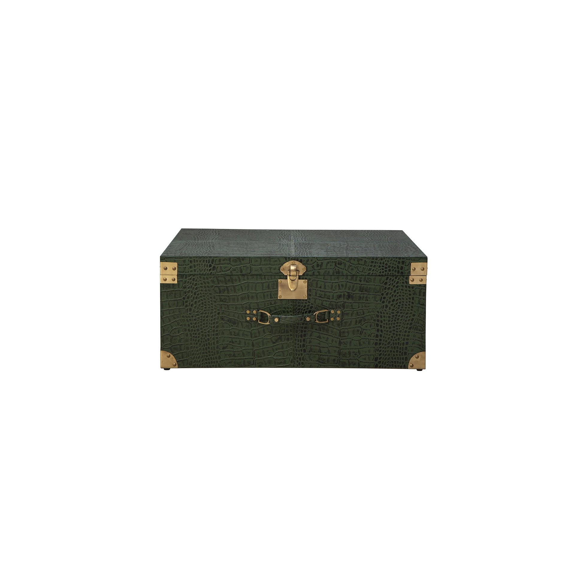 Marvin's Large Trunk - 32' detail view by Furniture Classics at ZIN Home
