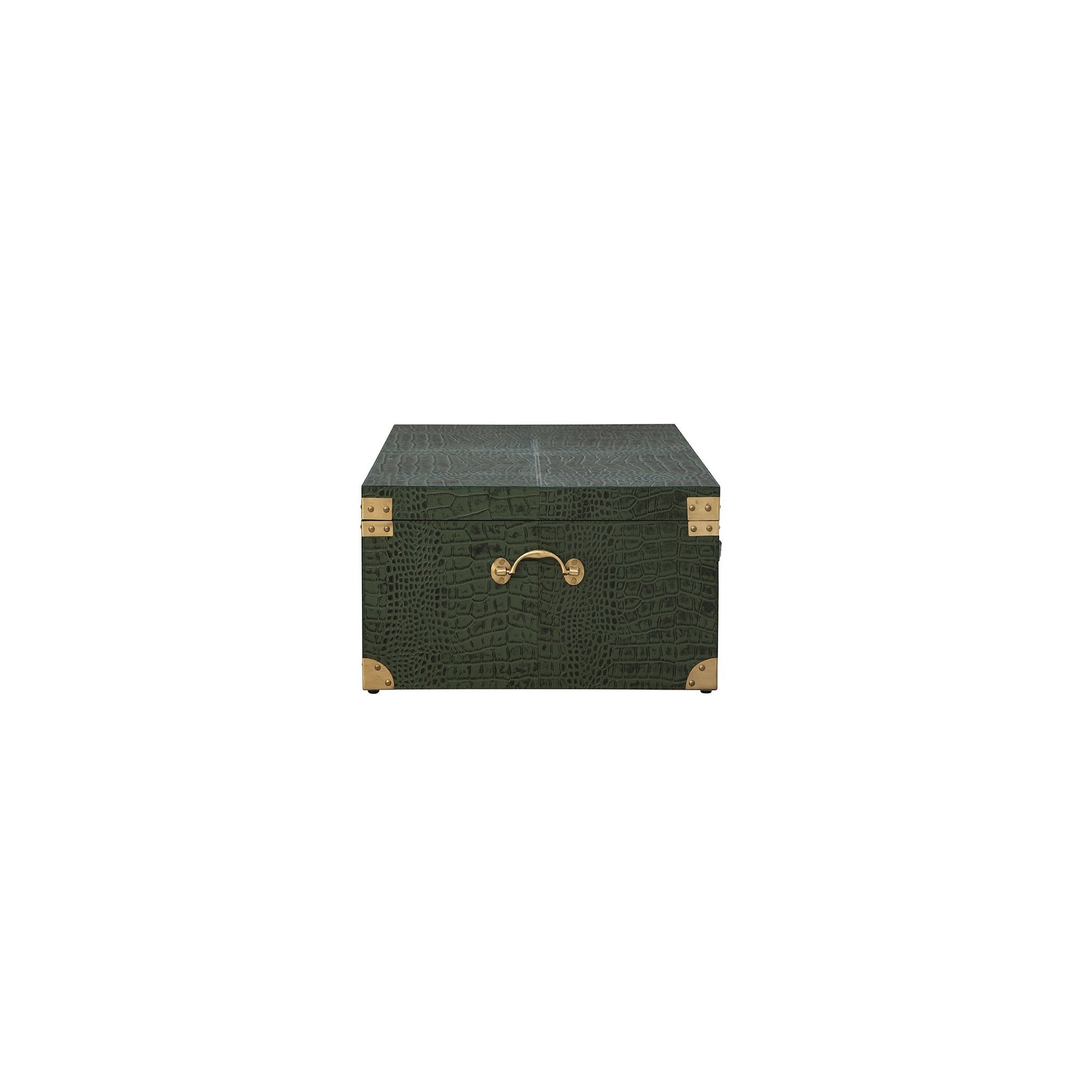 Marvin's Large Trunk - 32' detail view by Furniture Classics at ZIN Home
