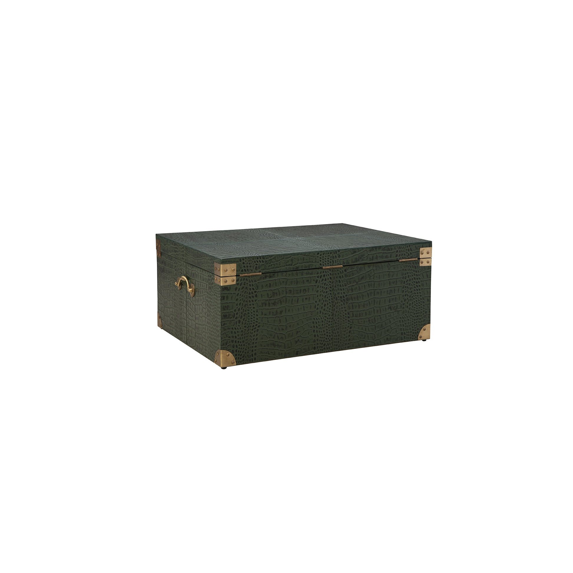 Marvin's Large Trunk - 32' detail view by Furniture Classics at ZIN Home