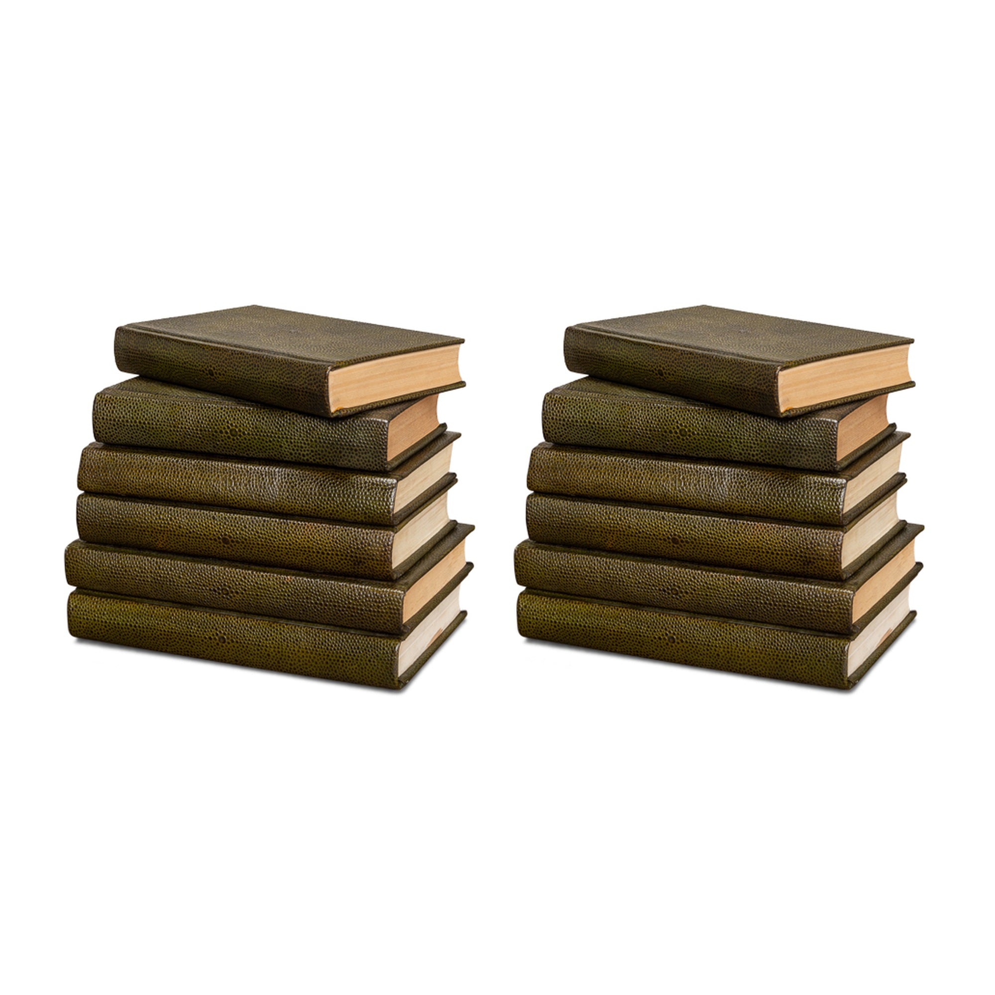 Shagreen Books, Set Of 12, Leaf by Sarreid Ltd