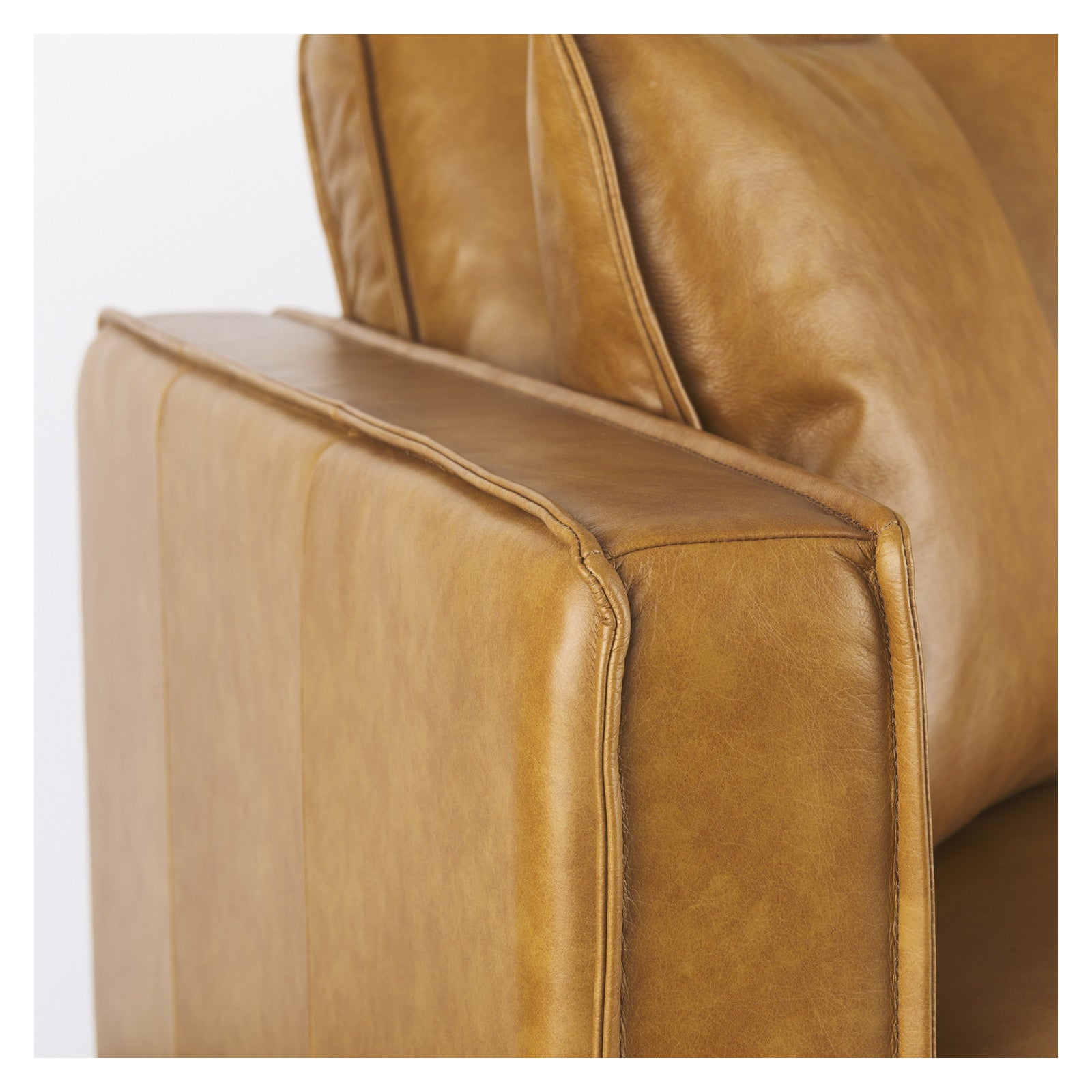 D'Arcy 65.0L x 37.0W x 34.0H Tan Leather Love Seat by Mercana at ZIN Home