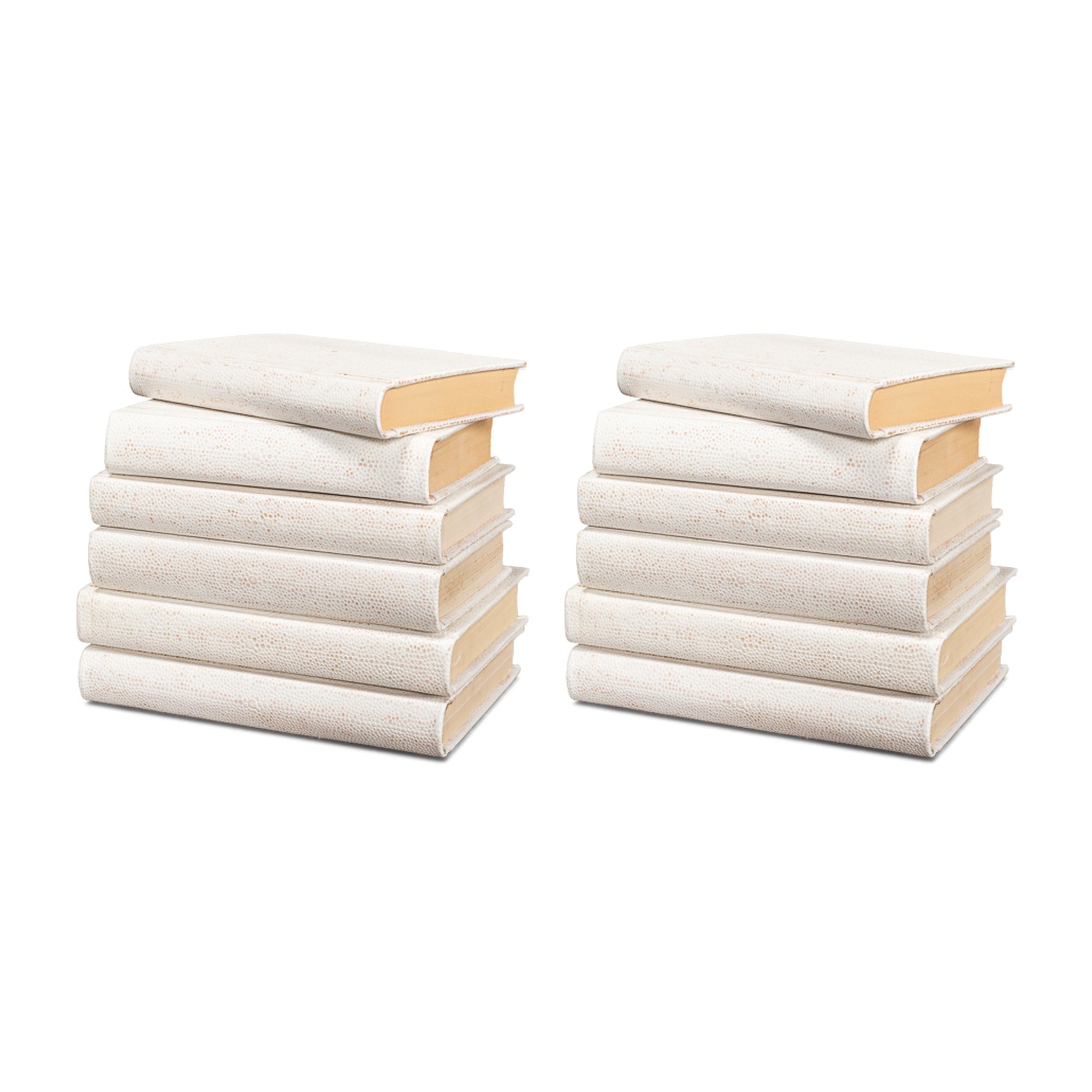 Shagreen Books, Set Of 12, Osprey White by Sarreid Ltd