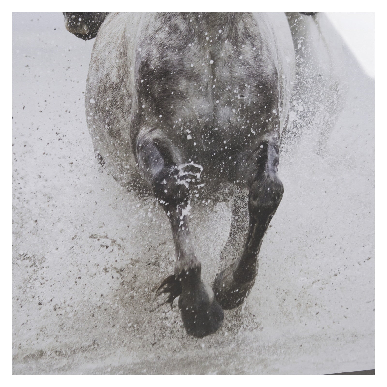 Determination by Irene Suchoki a Framed Photo Art Print Matted under Glass by Mercana at ZIN Home