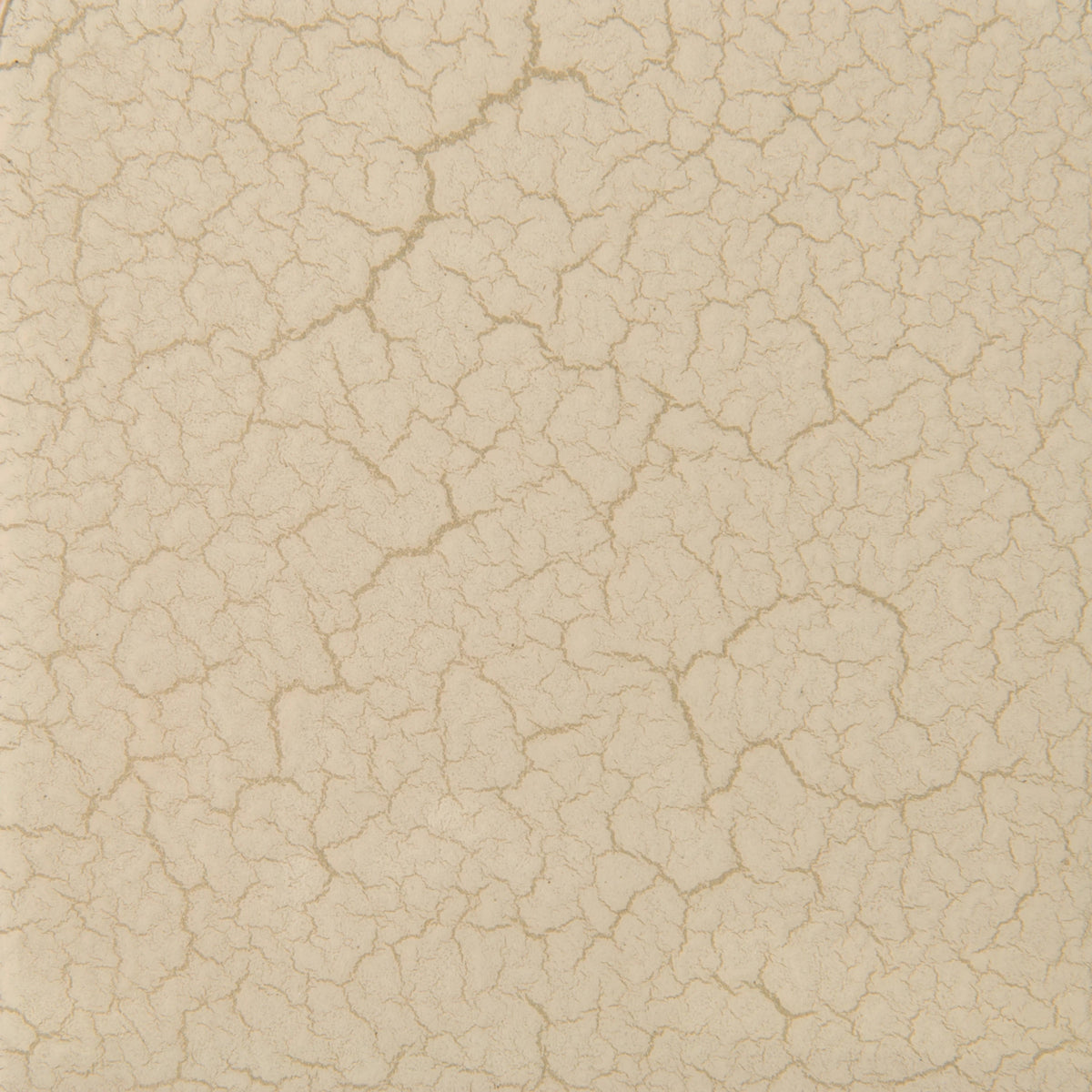 Seta Side Table Craze Brushed Gold 23" by Caracole - view 6