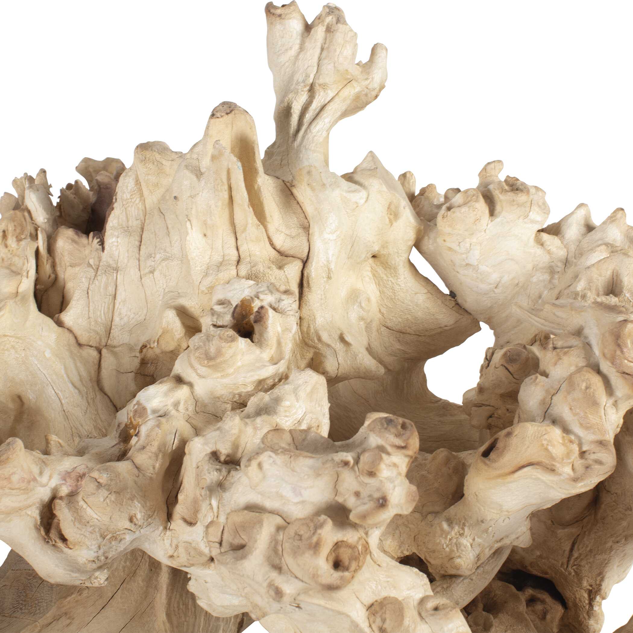 Uttermost Elemental Root Outdoor Sculptures Set/2