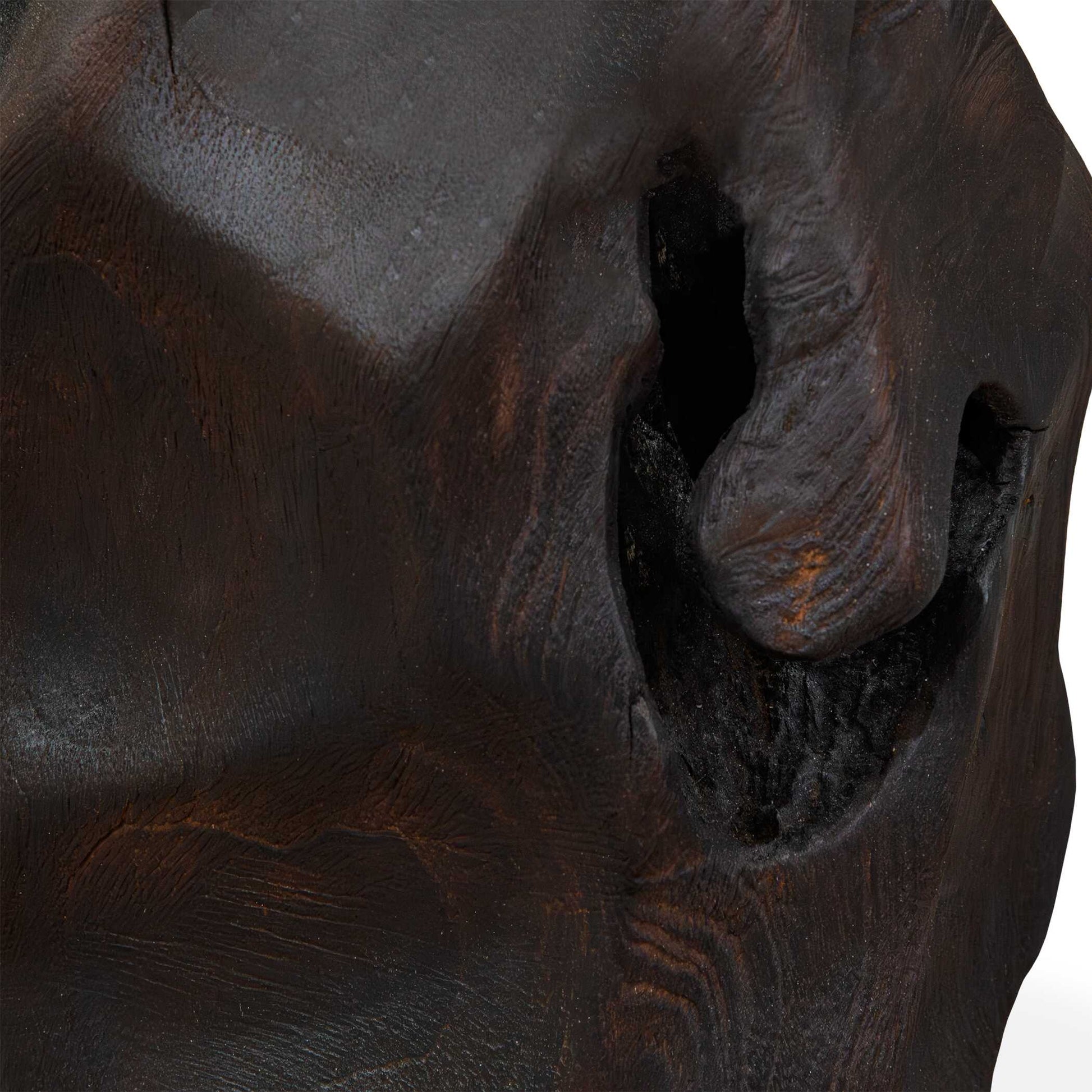 Uttermost Ember Root Teak Sculpture, Set/2