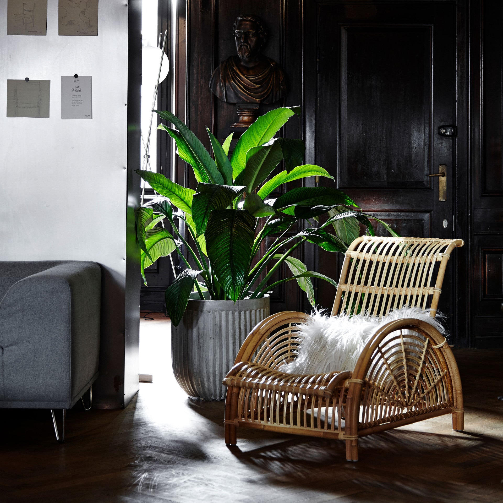 Arne Jacobsen Paris Chair by Sika Design - view 5