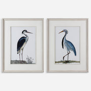Uttermost Shore Birds Framed Prints S/2