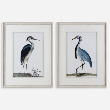 Shore Birds Framed Prints S/2