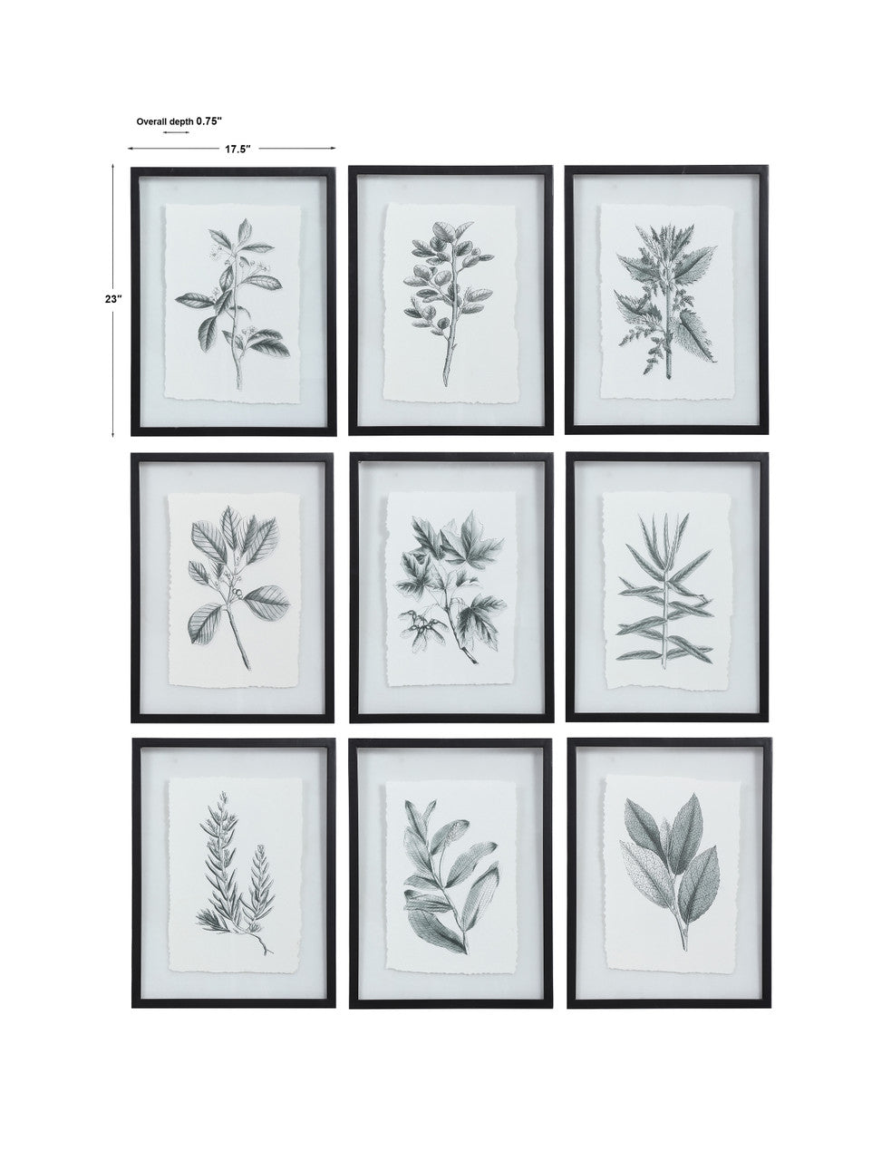 Uttermost Farmhouse Florals Framed Prints, S/9