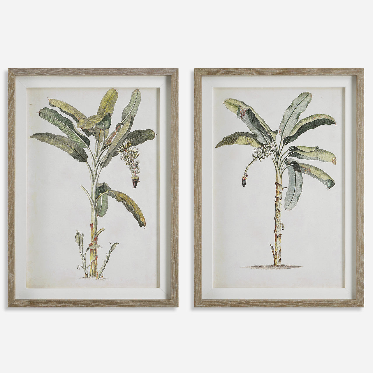 Uttermost Banana Palm Framed Prints, Set/2
