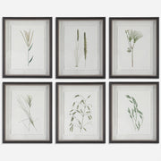 Uttermost Forest Finds Framed Prints, S/6