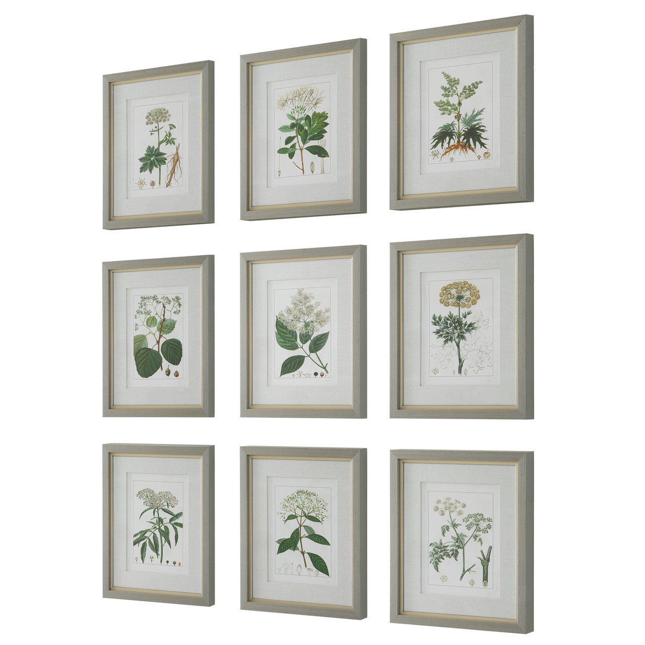 Uttermost Antique Botanicals Framed Prints, S/9