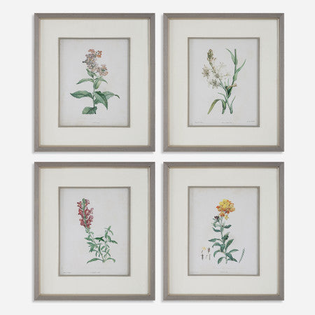 Heirloom Blooms Study Framed Prints Set/4