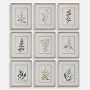 Uttermost Botanical Flowers Framed Prints, S/9