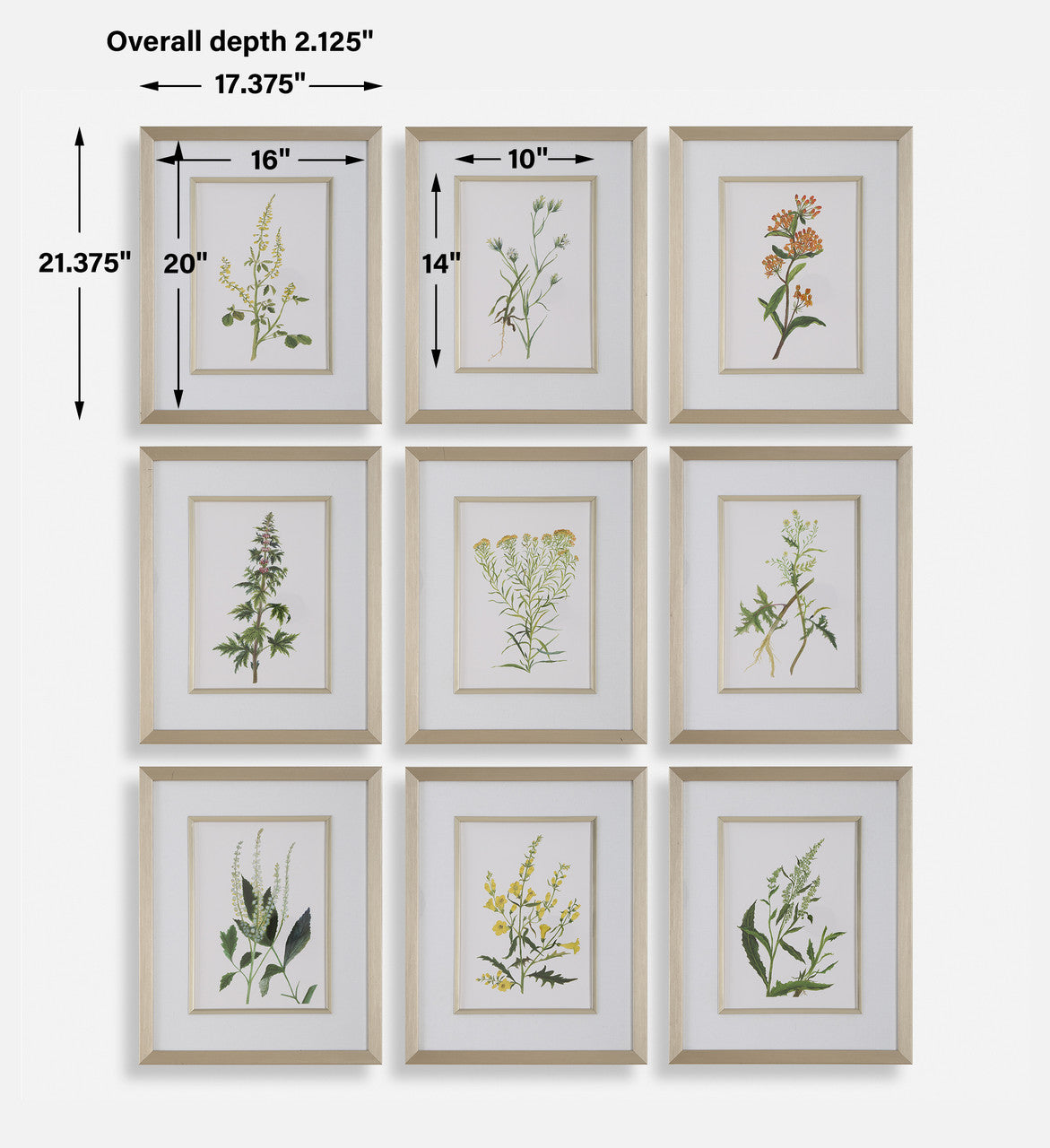 Uttermost Botanical Flowers Framed Prints, S/9