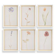 Uttermost Wild Flourish Framed Floral Prints Set/6
