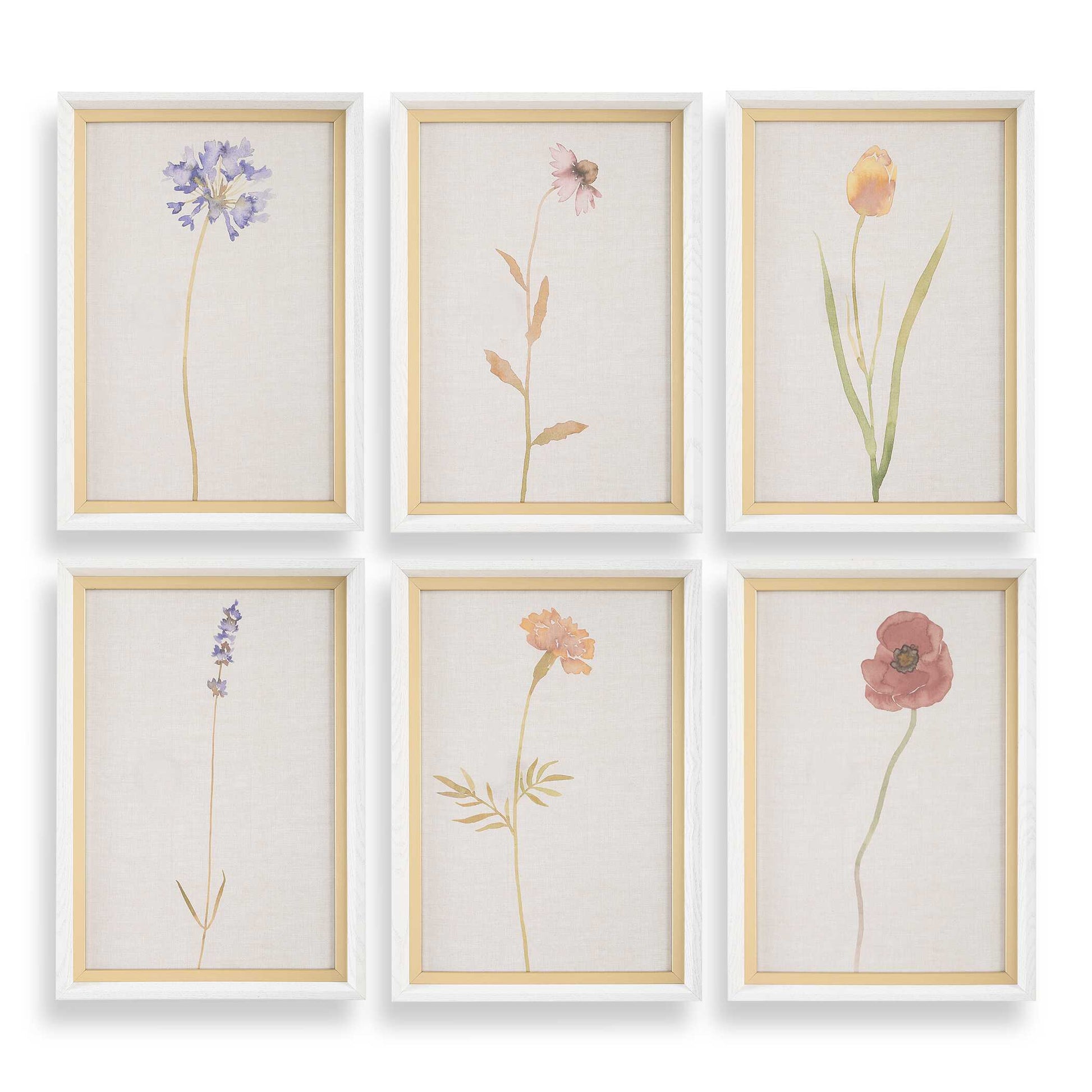 Uttermost Wild Flourish Framed Floral Prints Set/6