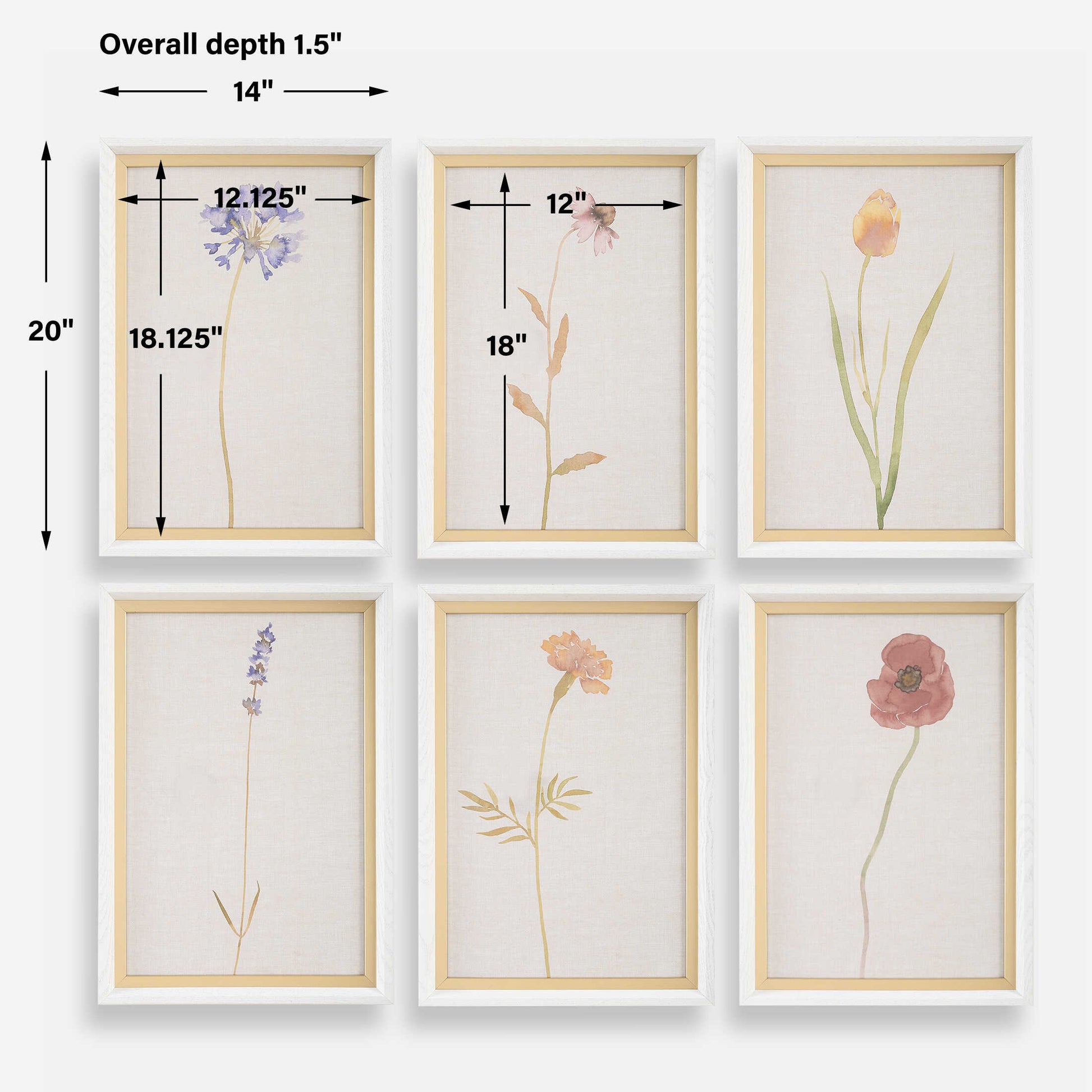 Uttermost Wild Flourish Framed Floral Prints Set/6