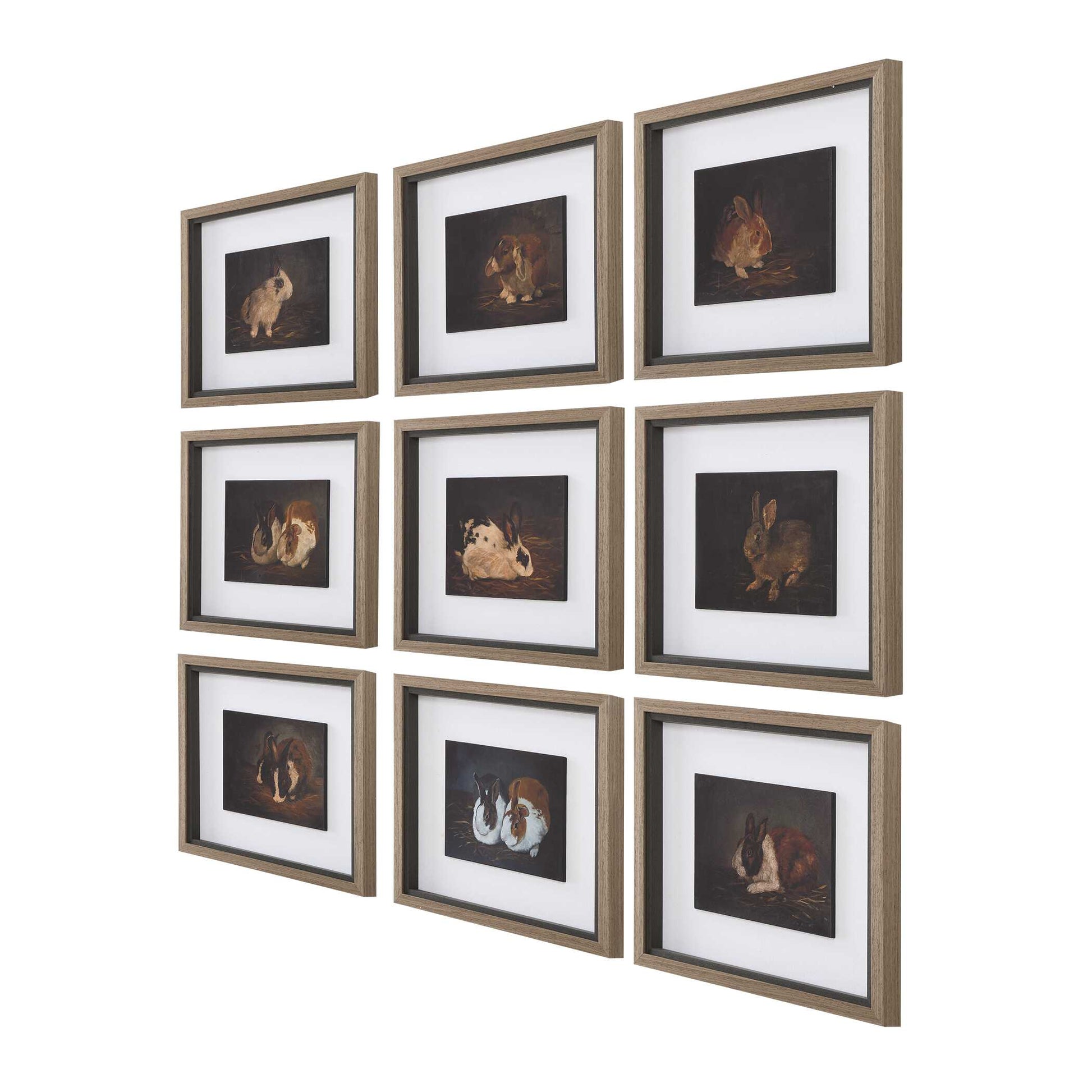 Uttermost Resting Bunny Framed Prints Set/9