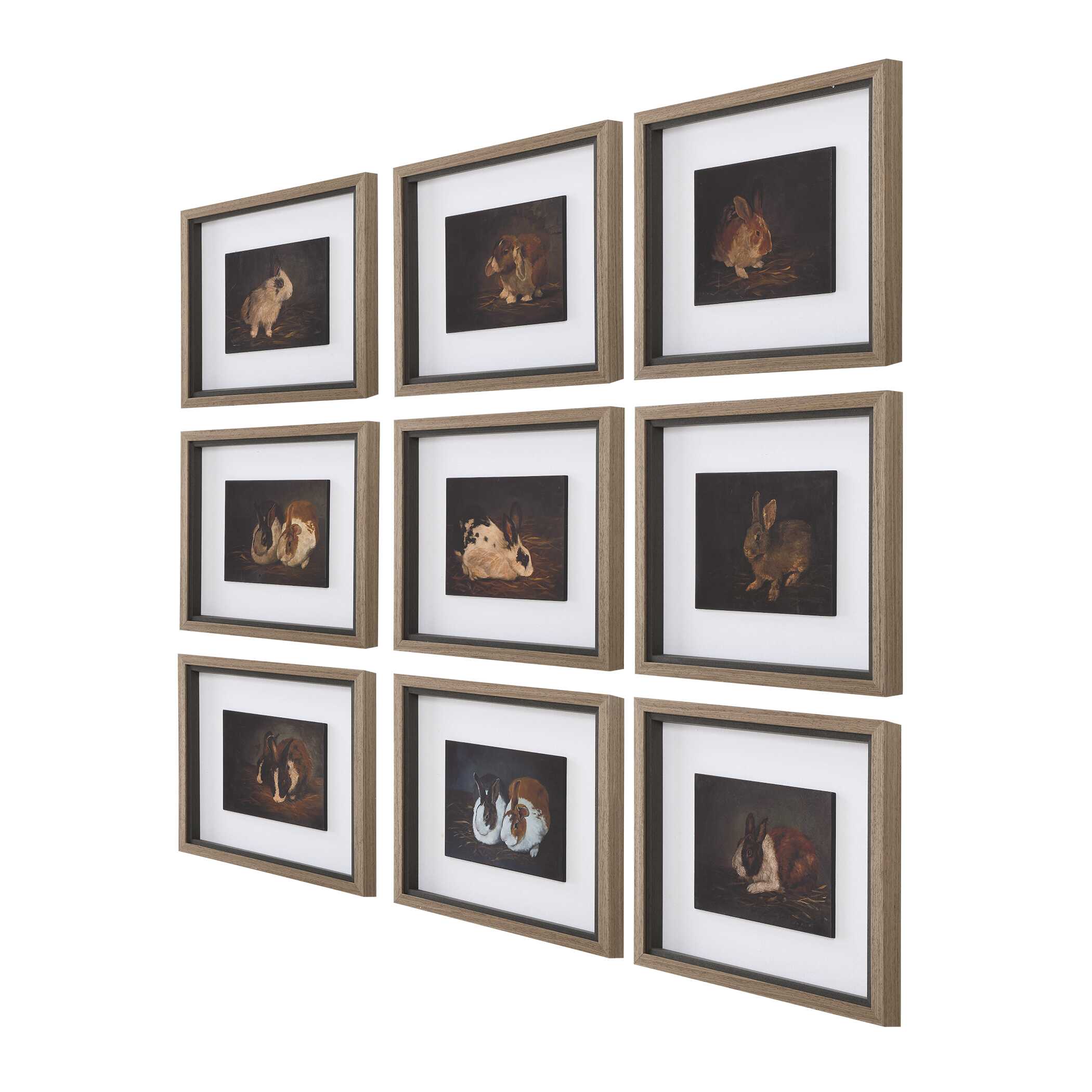 Uttermost Resting Bunny Framed Prints Set/9