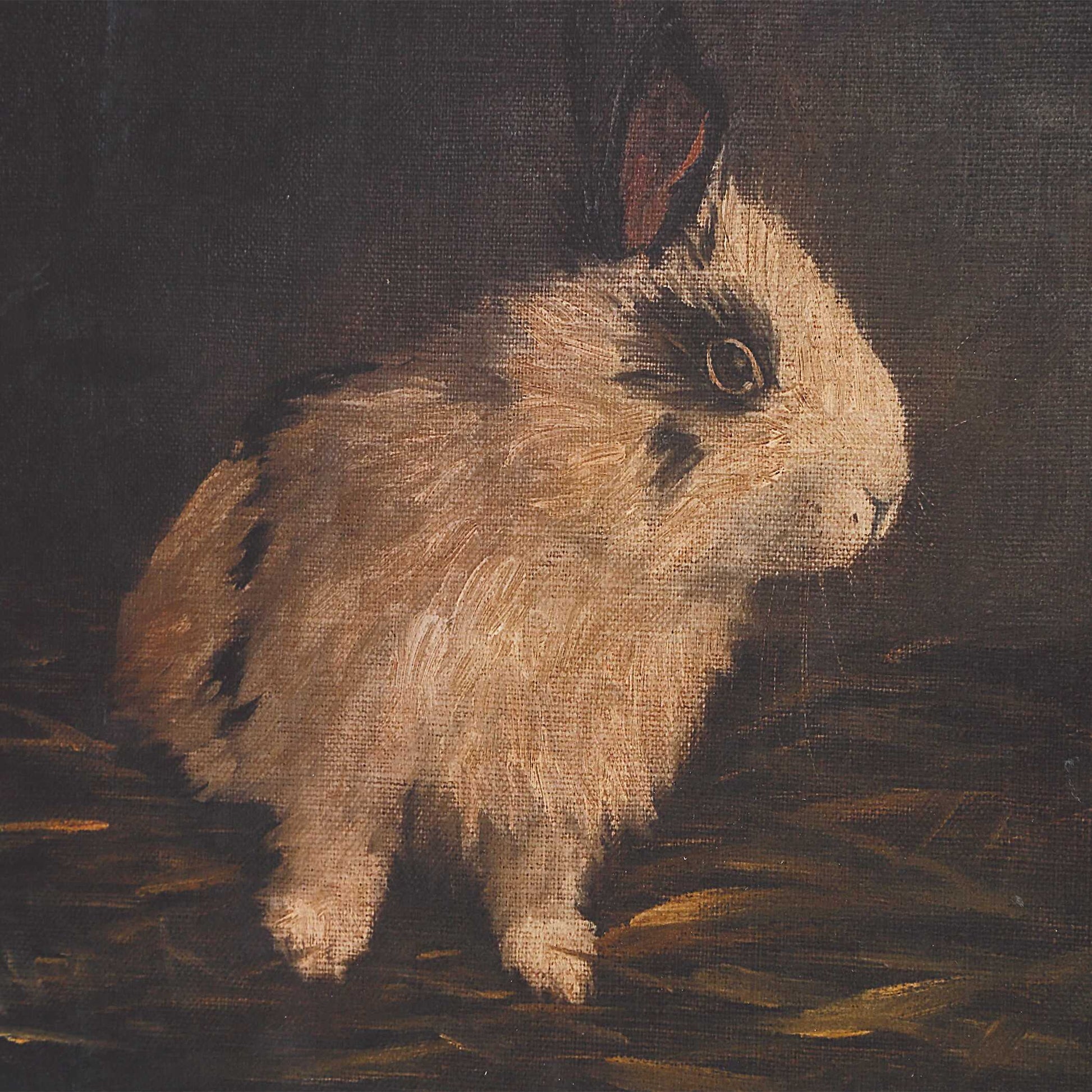 Uttermost Resting Bunny Framed Prints Set/9