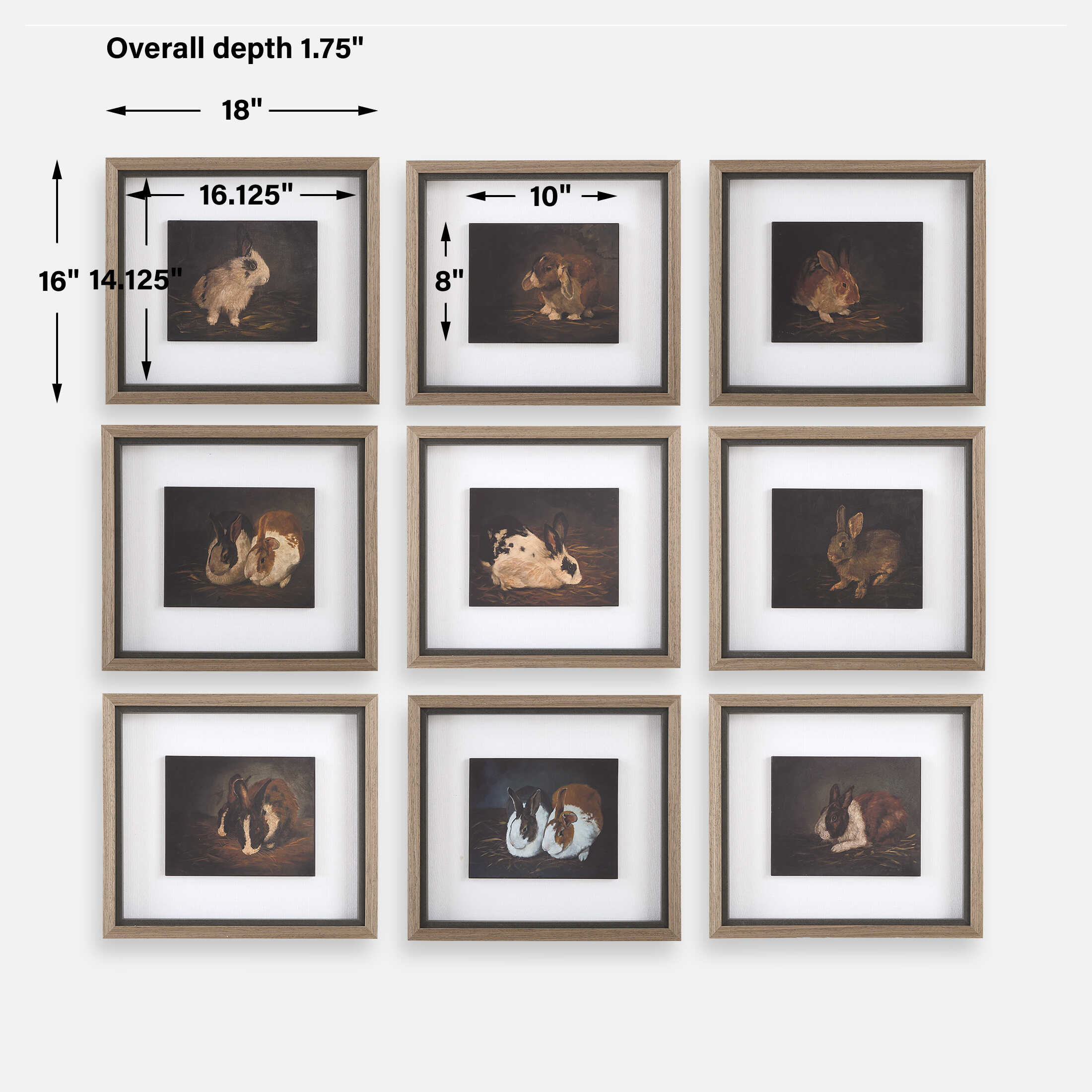 Uttermost Resting Bunny Framed Prints Set/9