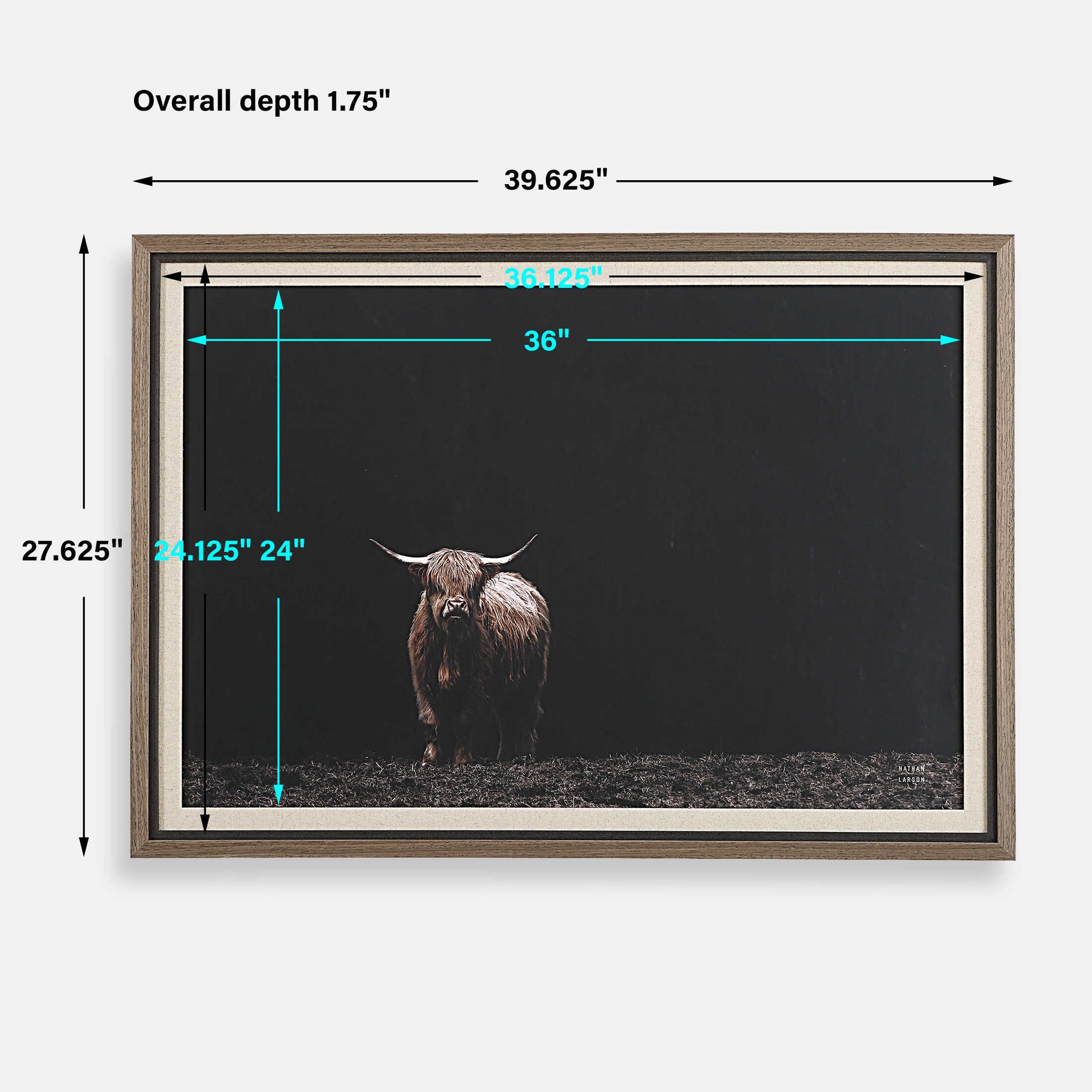 Uttermost King Of The Hill Framed Bovine Print