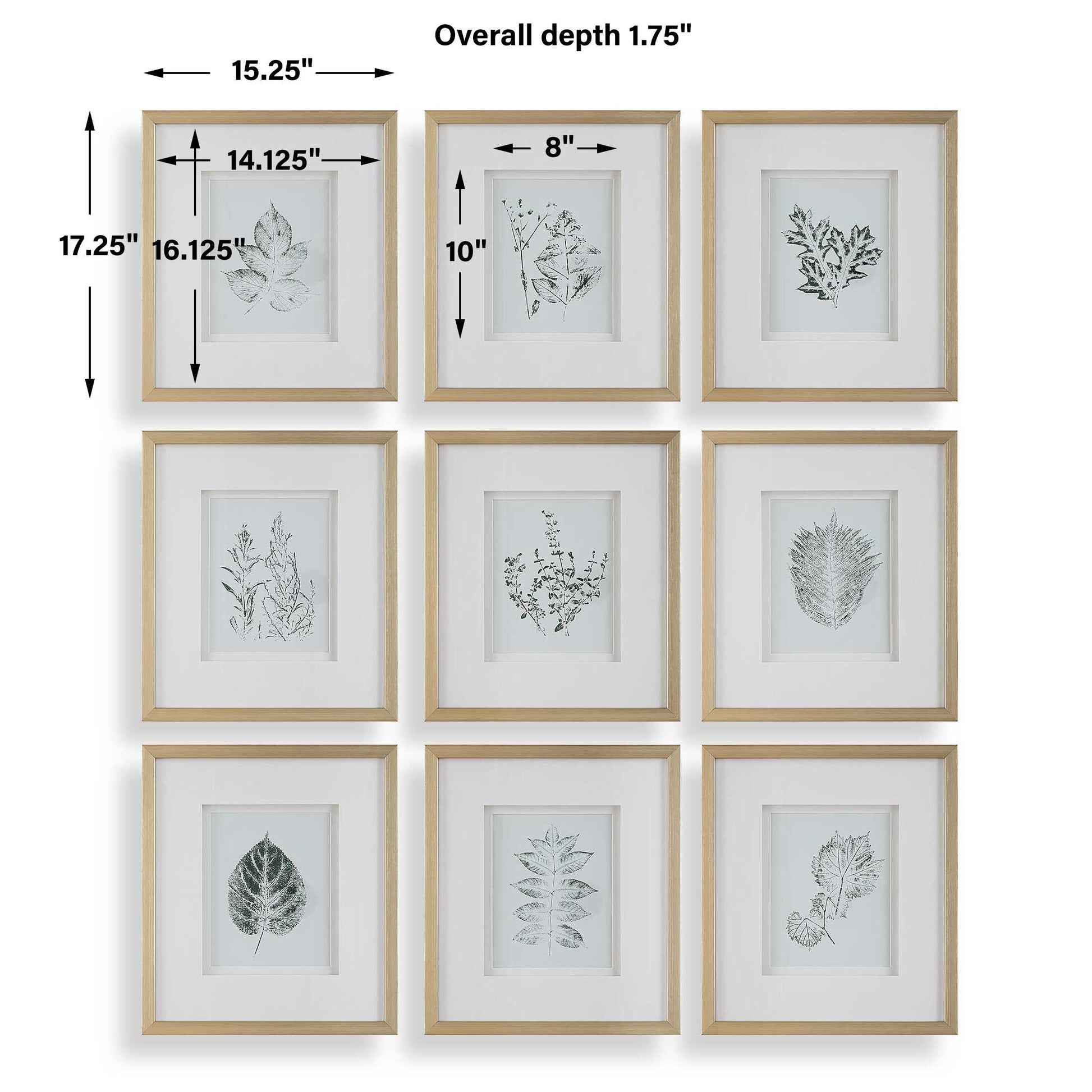 Uttermost Nature's Script Framed Botanical Prints Set/9