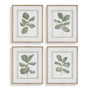 Uttermost Fiddle Head Leaf Botanical Prints Set/4