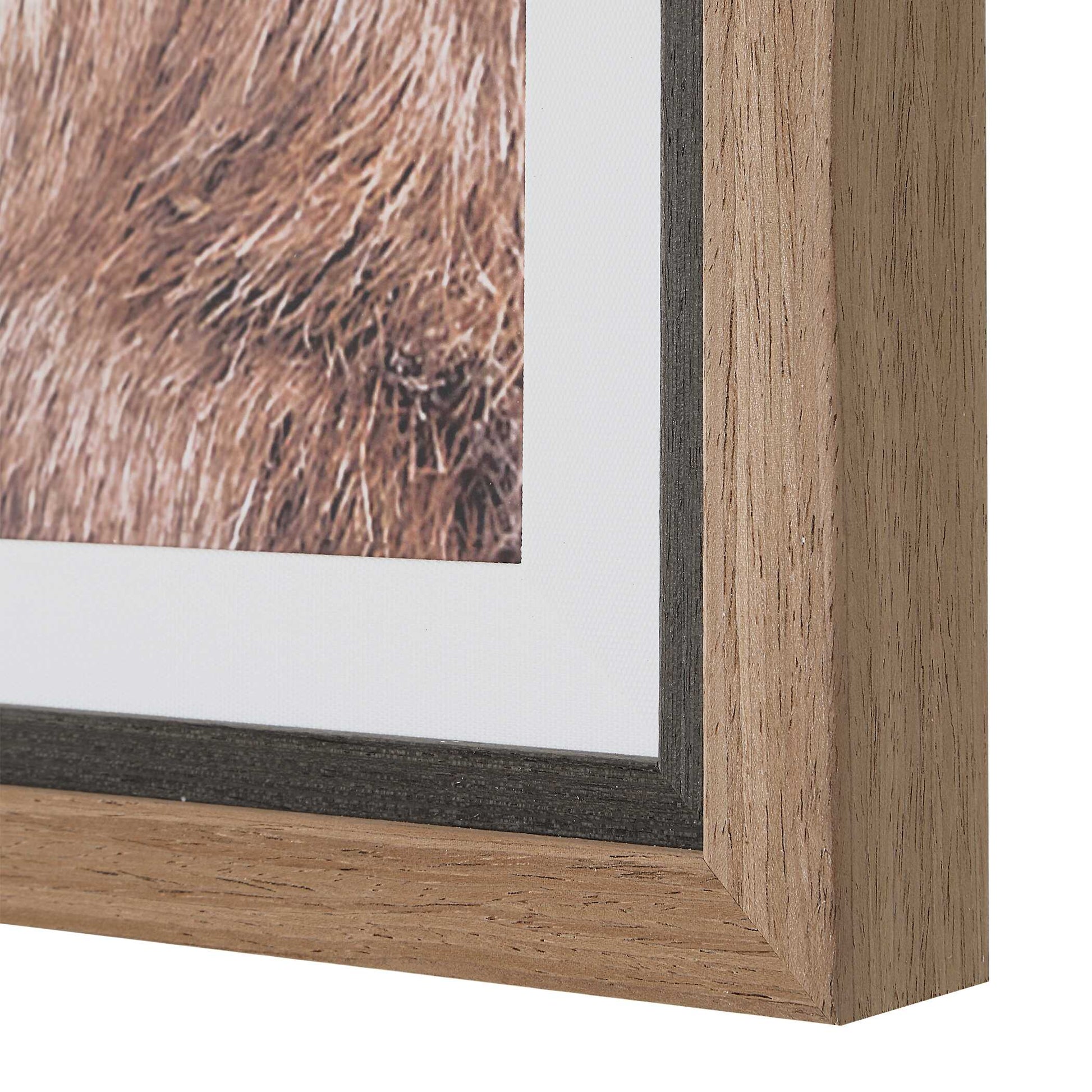 Uttermost Big Horn Sheep Framed Print