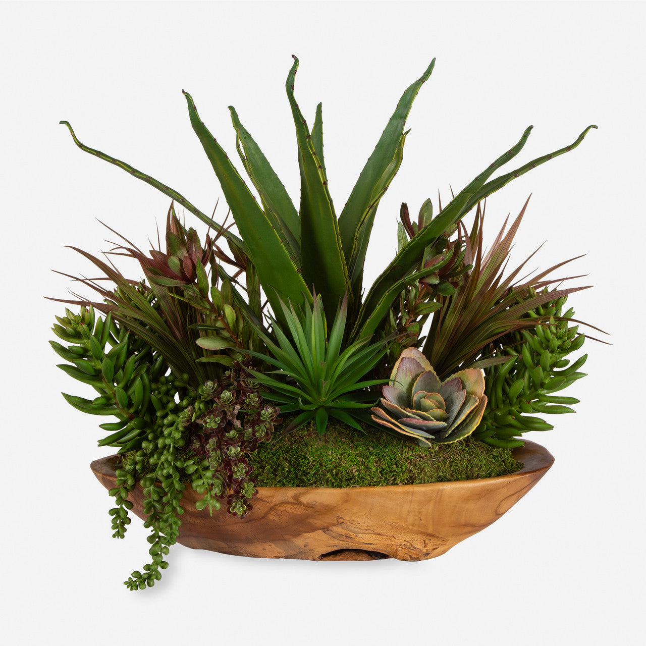 Uttermost Salar Succulents In Teak Bowl