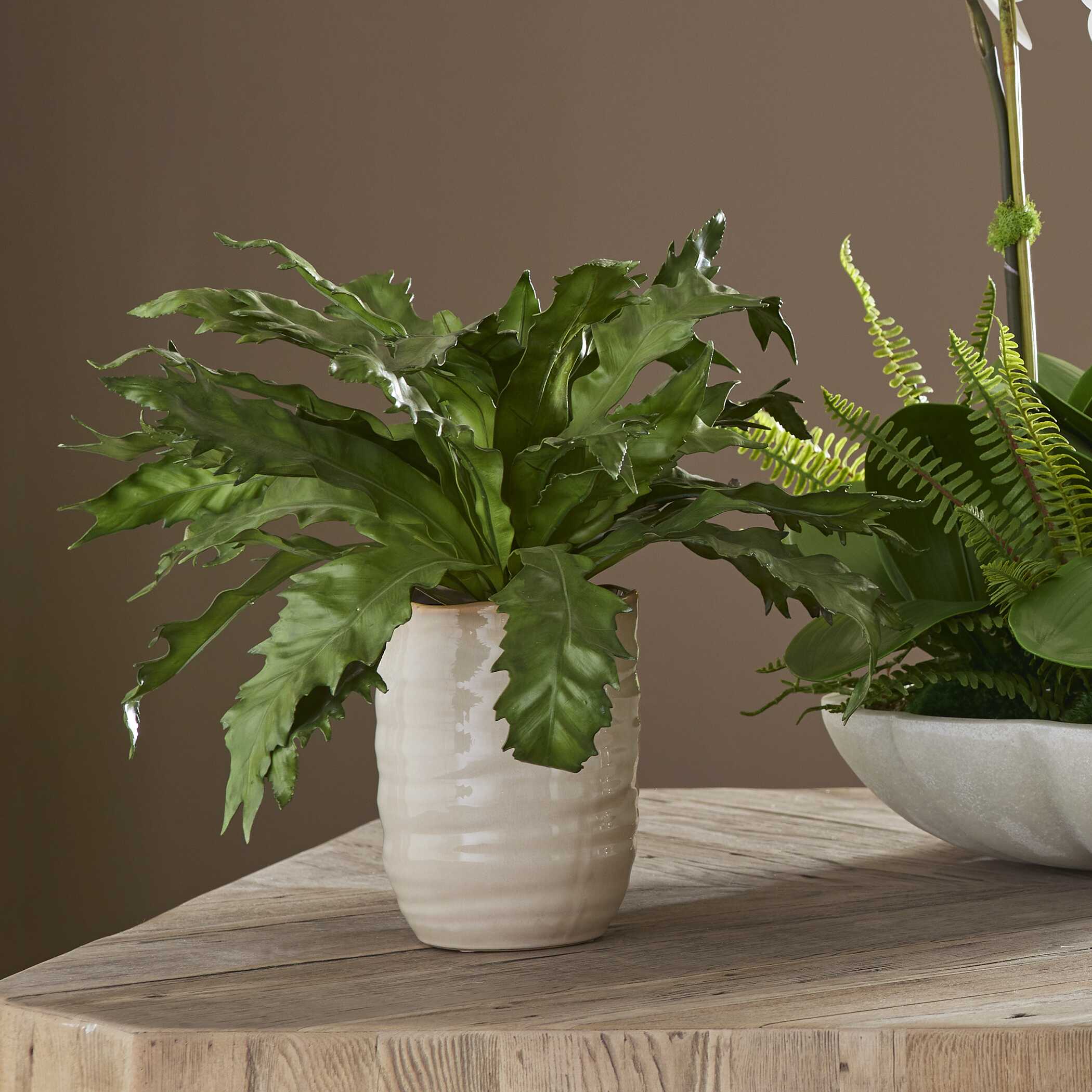 Uttermost Verdure Fern In Glazed Pot