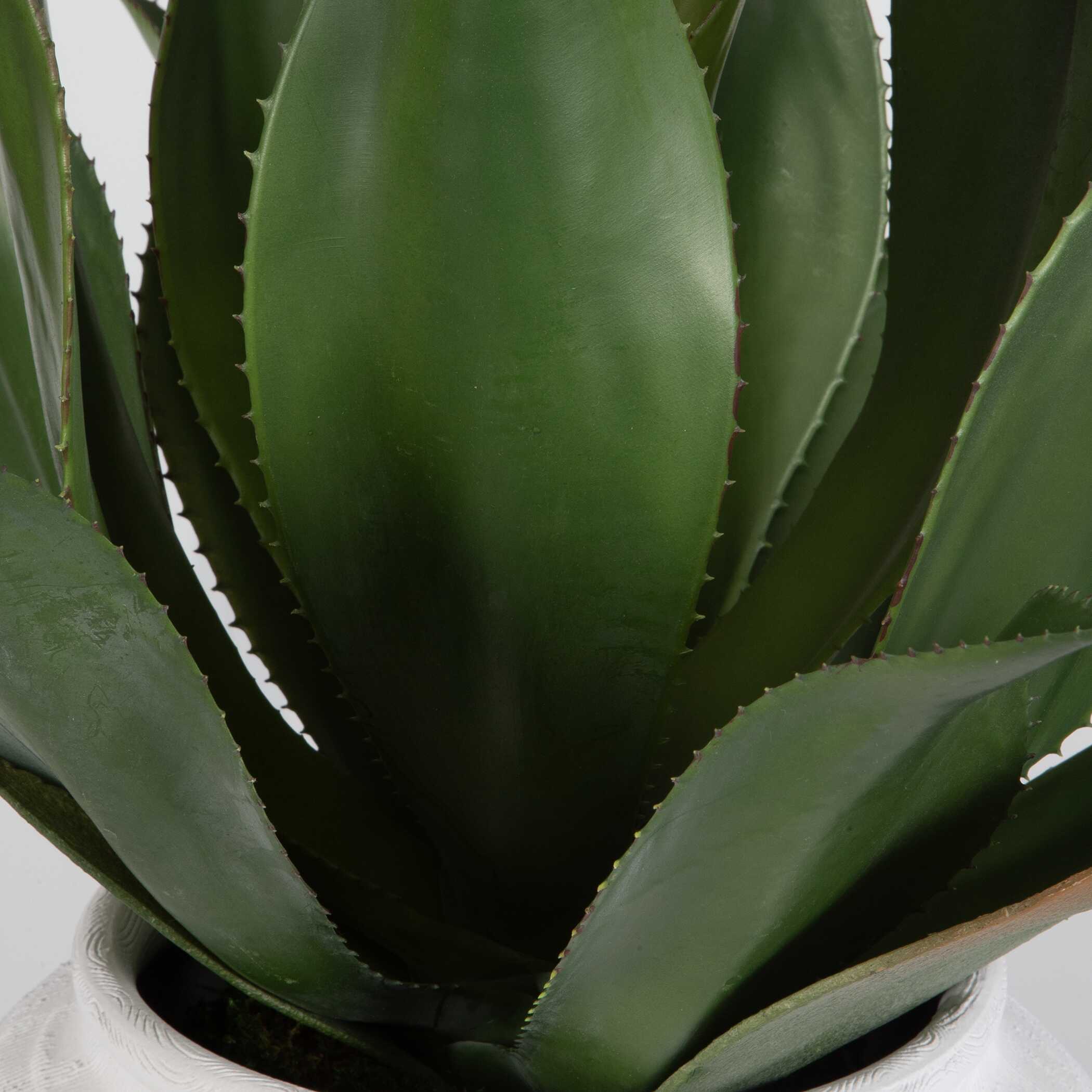 Uttermost Tierra Agave Centerpiece With Vase