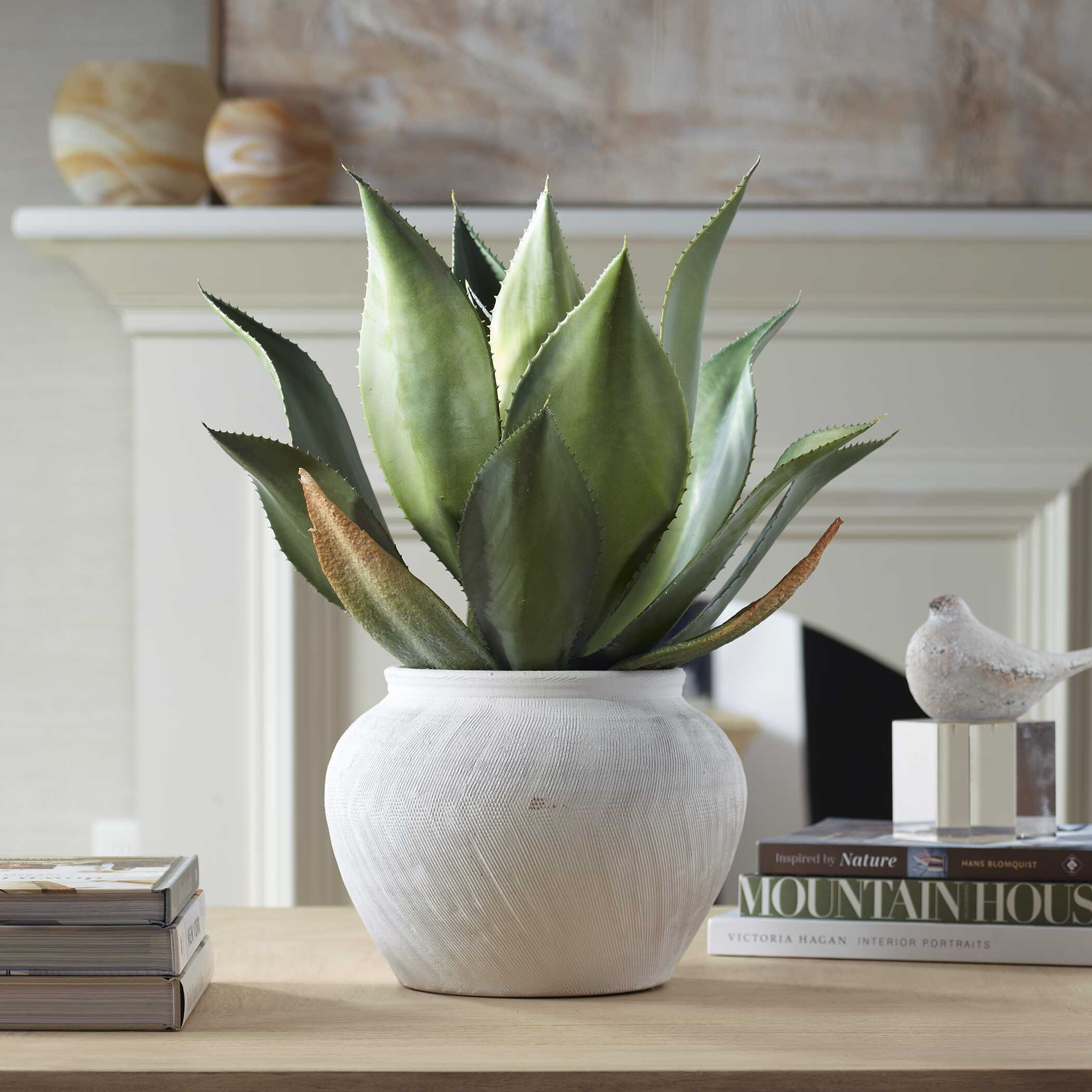 Uttermost Tierra Agave Centerpiece With Vase