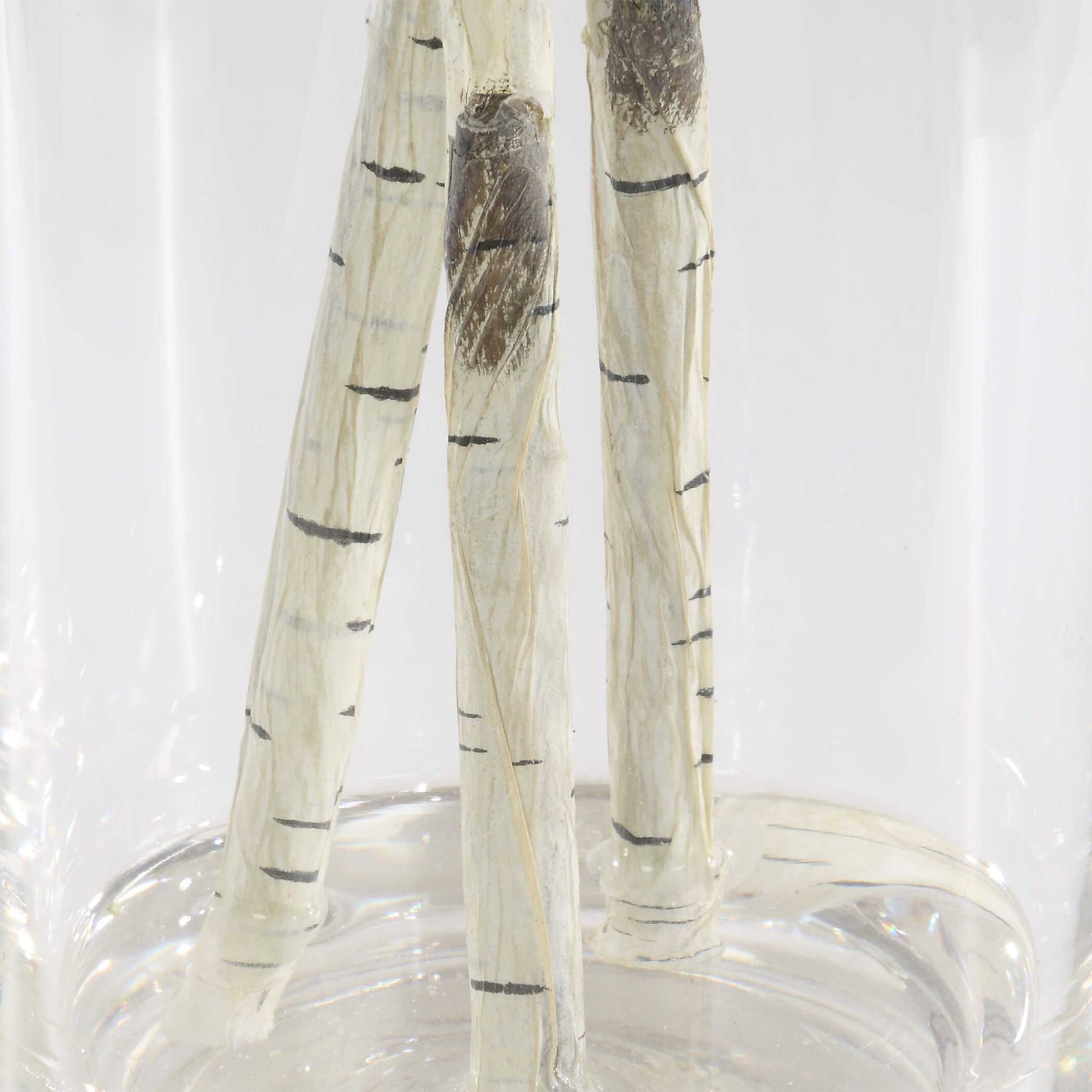 Uttermost Nigra Birch Vase Centerpiece