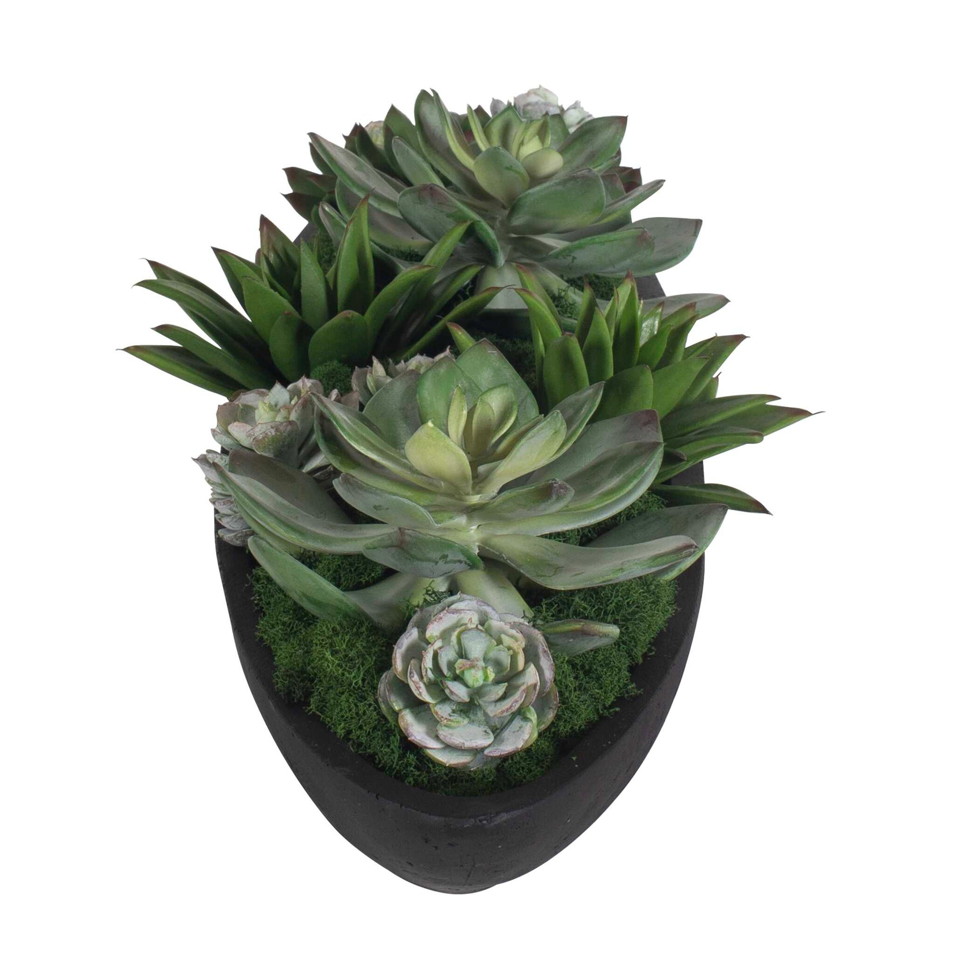 Uttermost Verde Succulent Centerpiece In Bowl