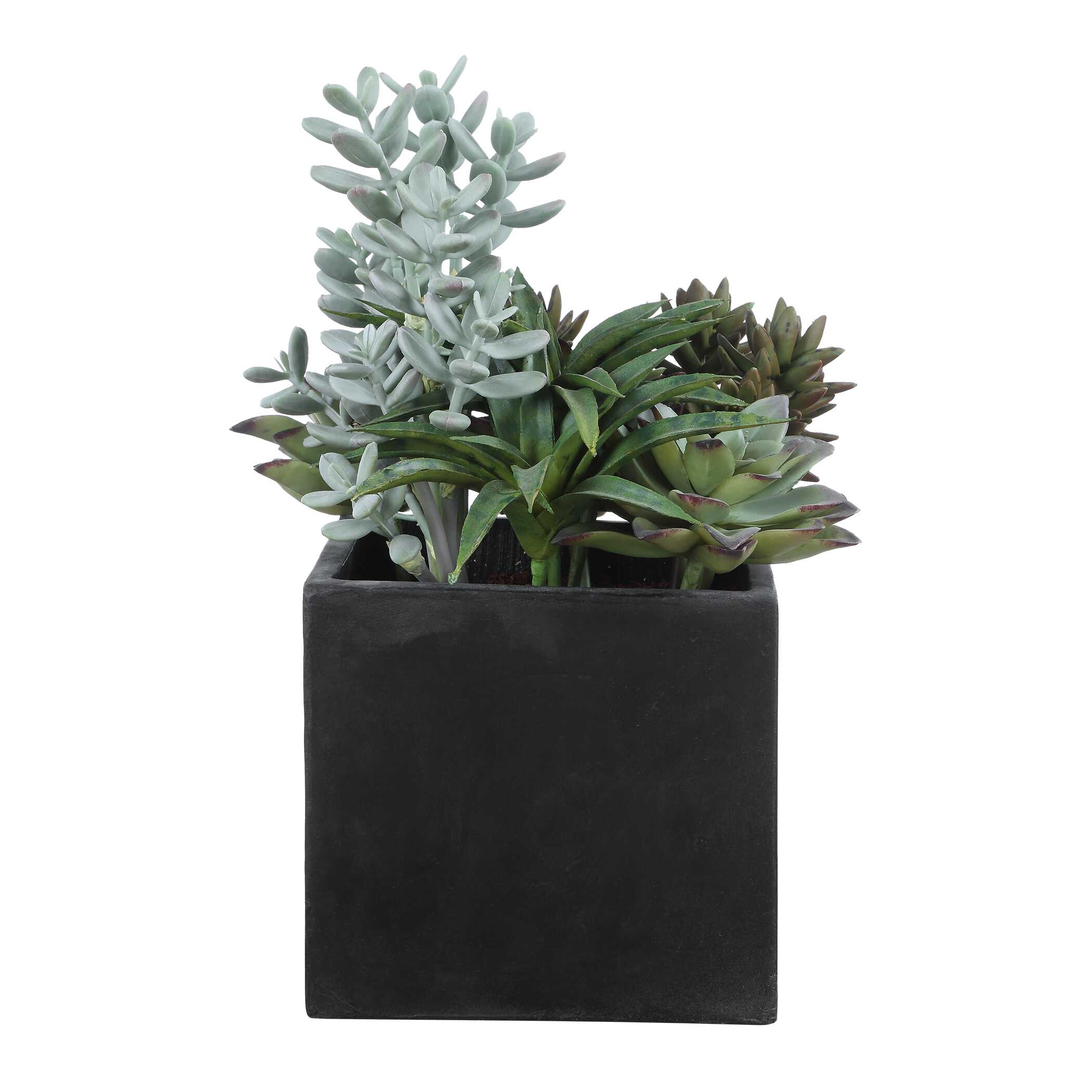 Uttermost Greystone Indoor-Outdoor Succulent