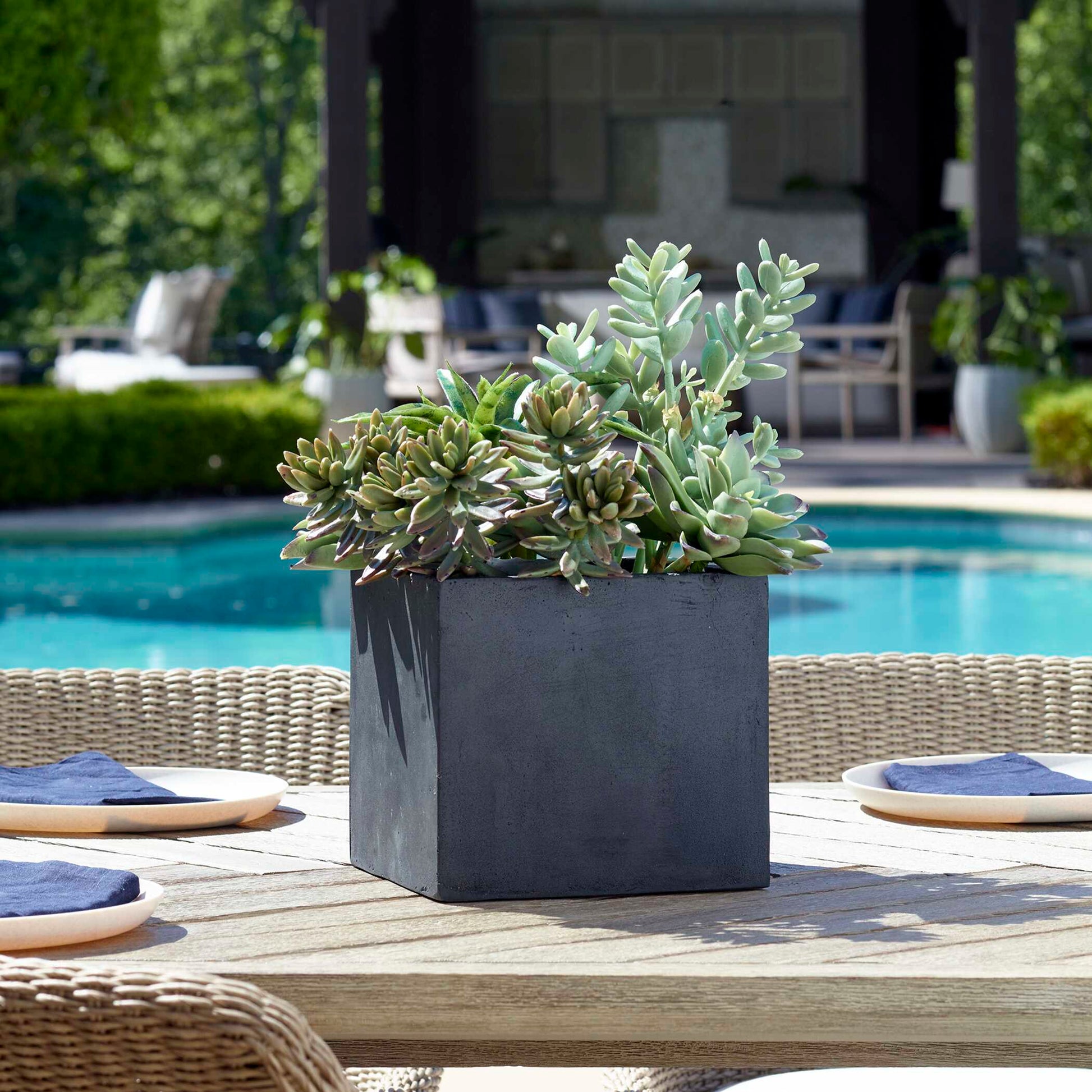 Uttermost Greystone Indoor-Outdoor Succulent
