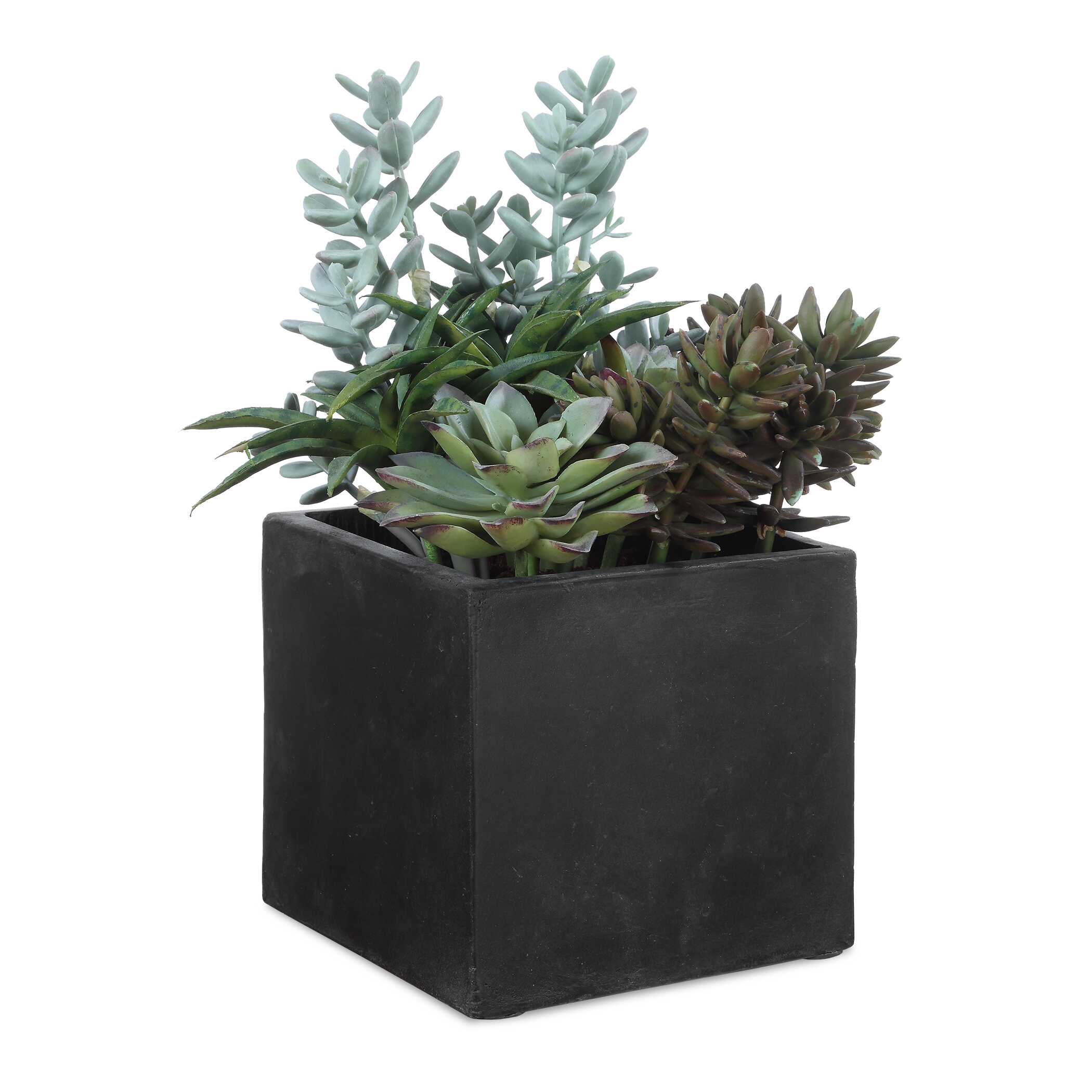 Uttermost Greystone Indoor-Outdoor Succulent