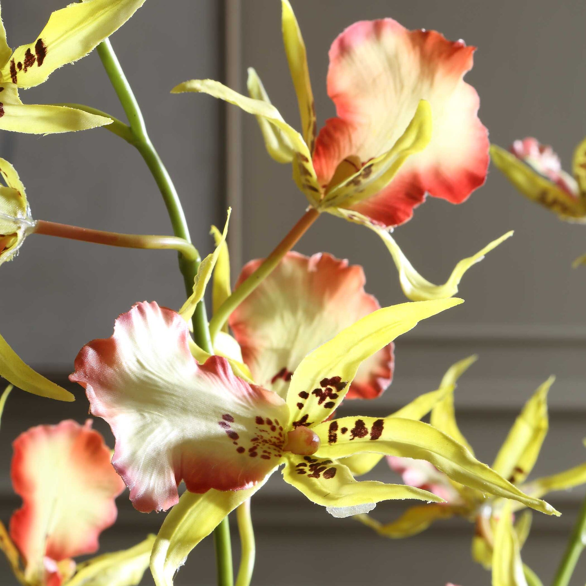 Uttermost Spider Orchid In Glass Vase