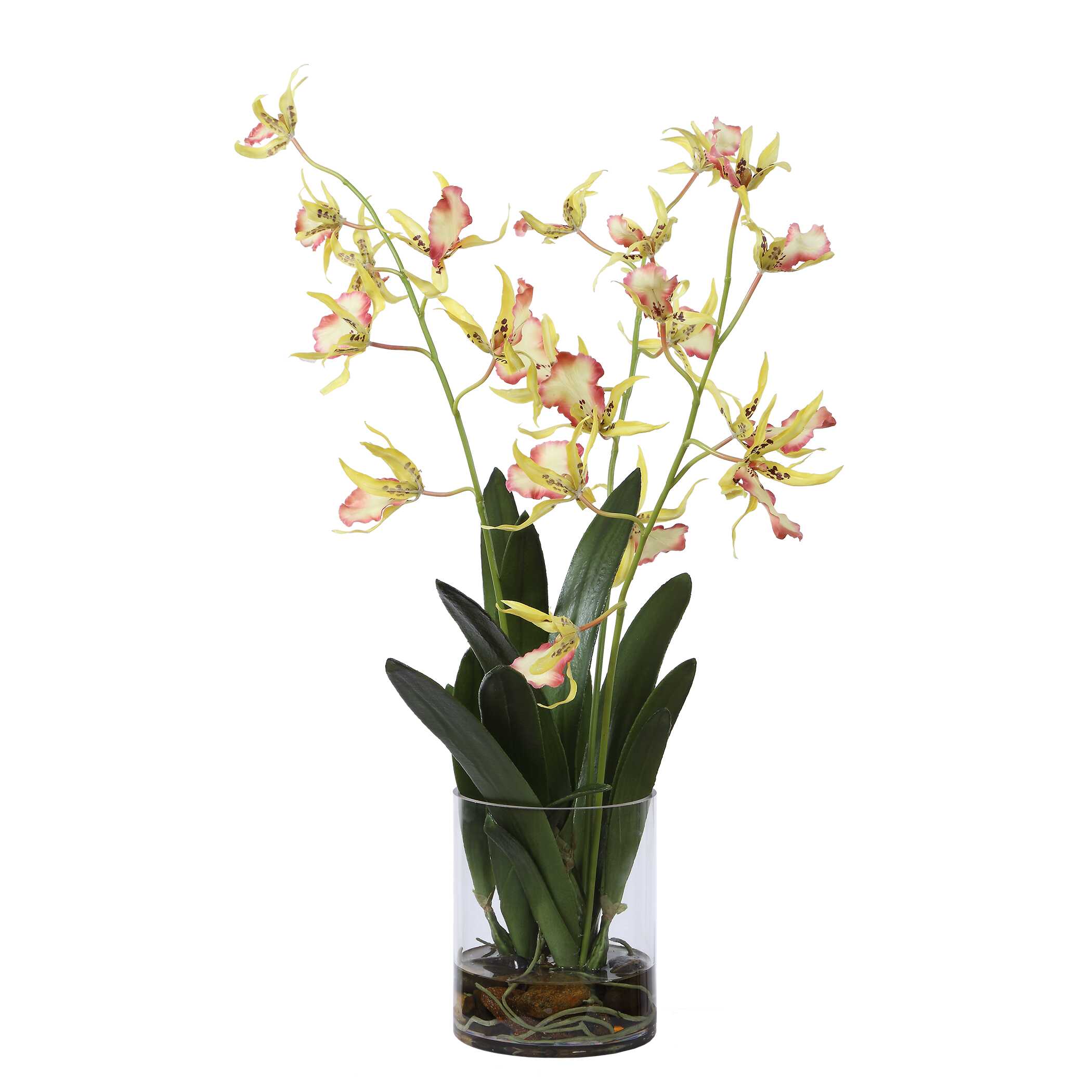 Uttermost Spider Orchid In Glass Vase